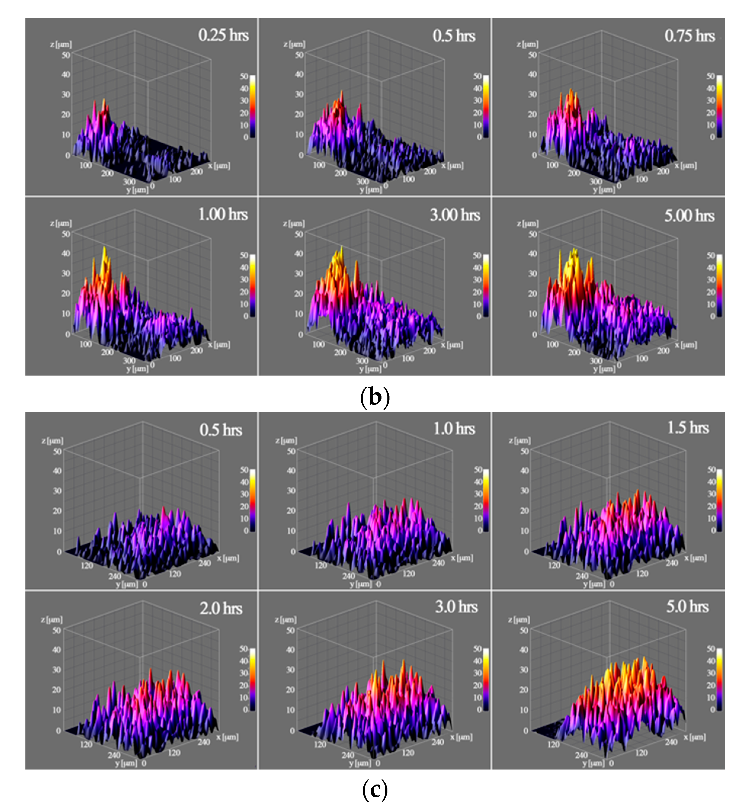 Pharmaceutics 12 00734 g006b Pharmaceutics 12 00734 g006b