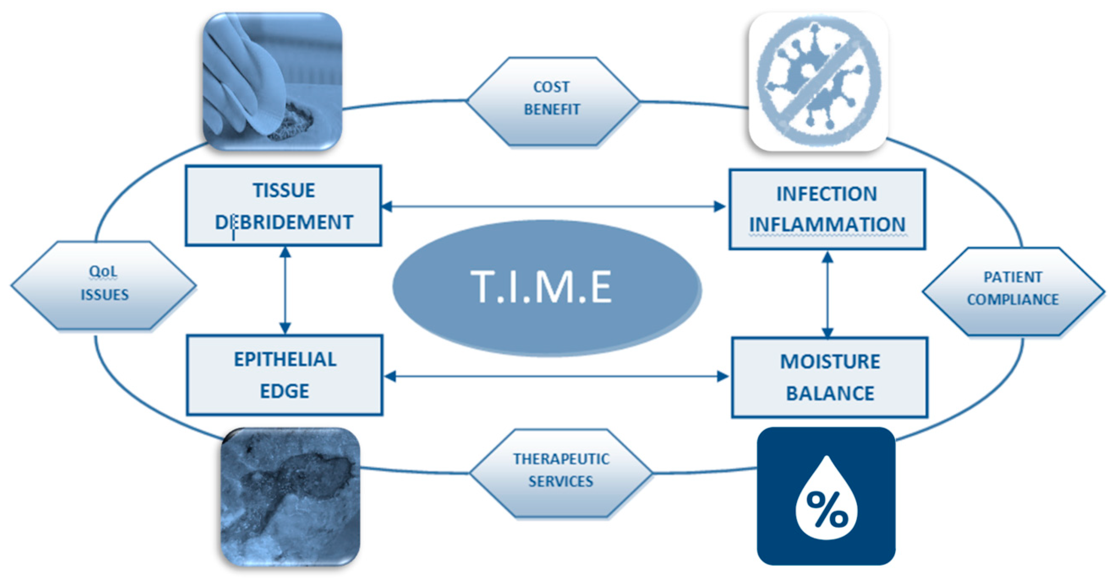 Pharmaceutics 12 00735 g003