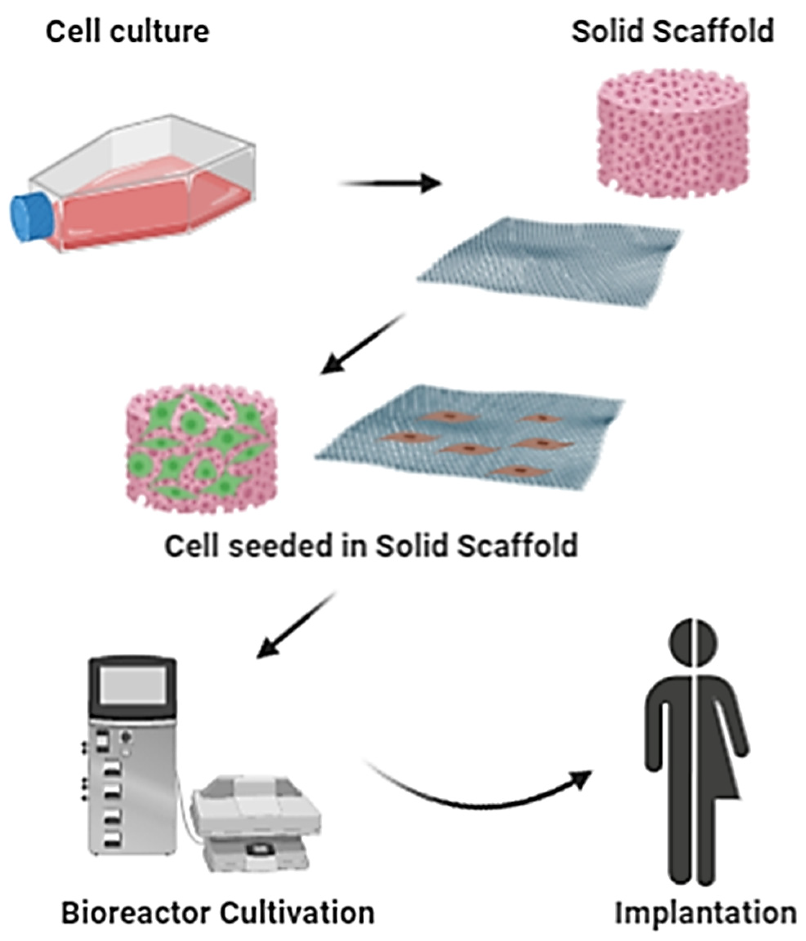 Pharmaceutics 12 00735 g004