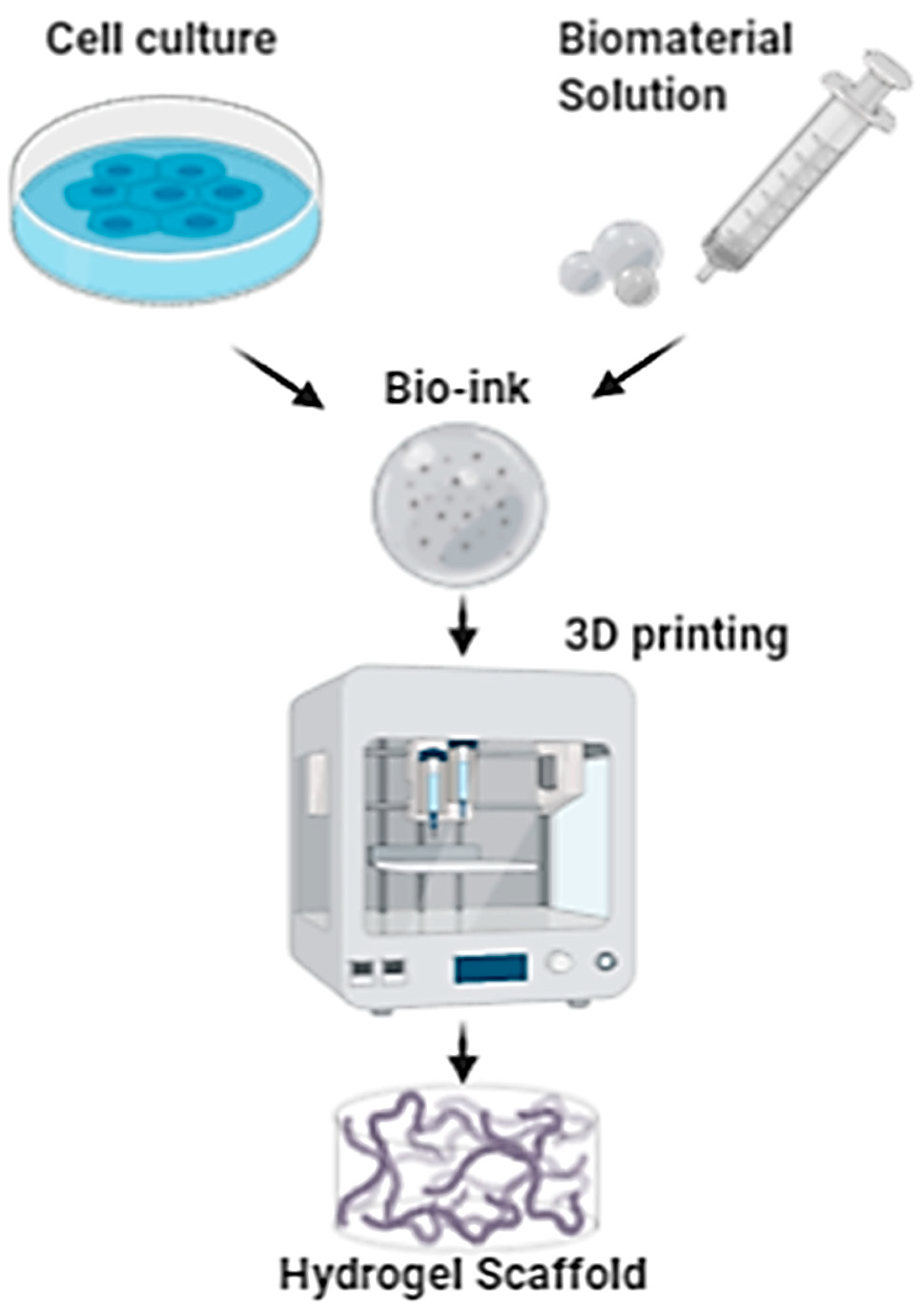 Pharmaceutics 12 00735 g005