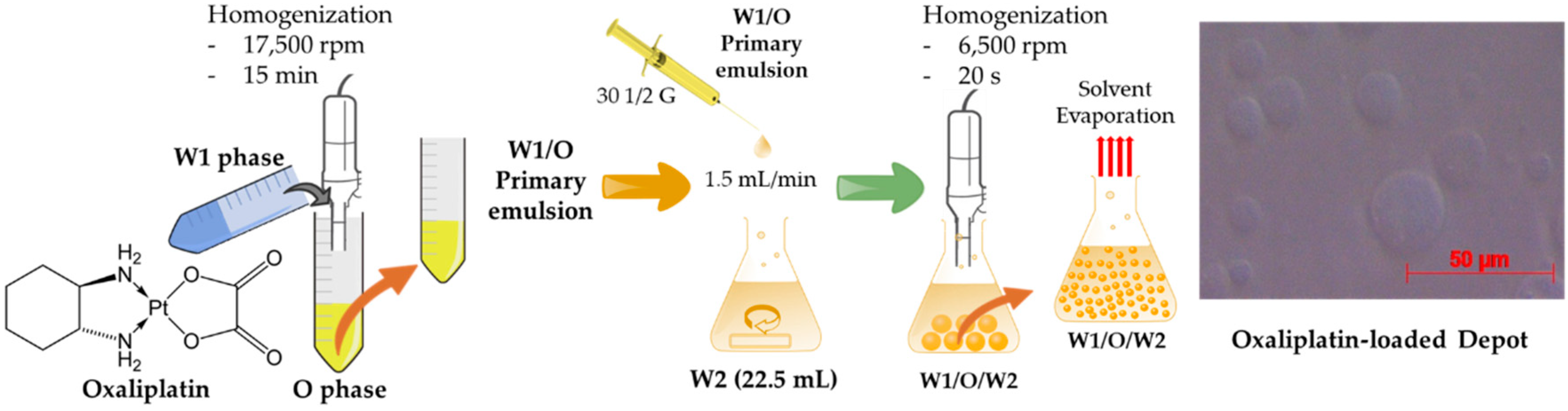 Pharmaceutics 12 00736 g001 Pharmaceutics 12 00736 g001
