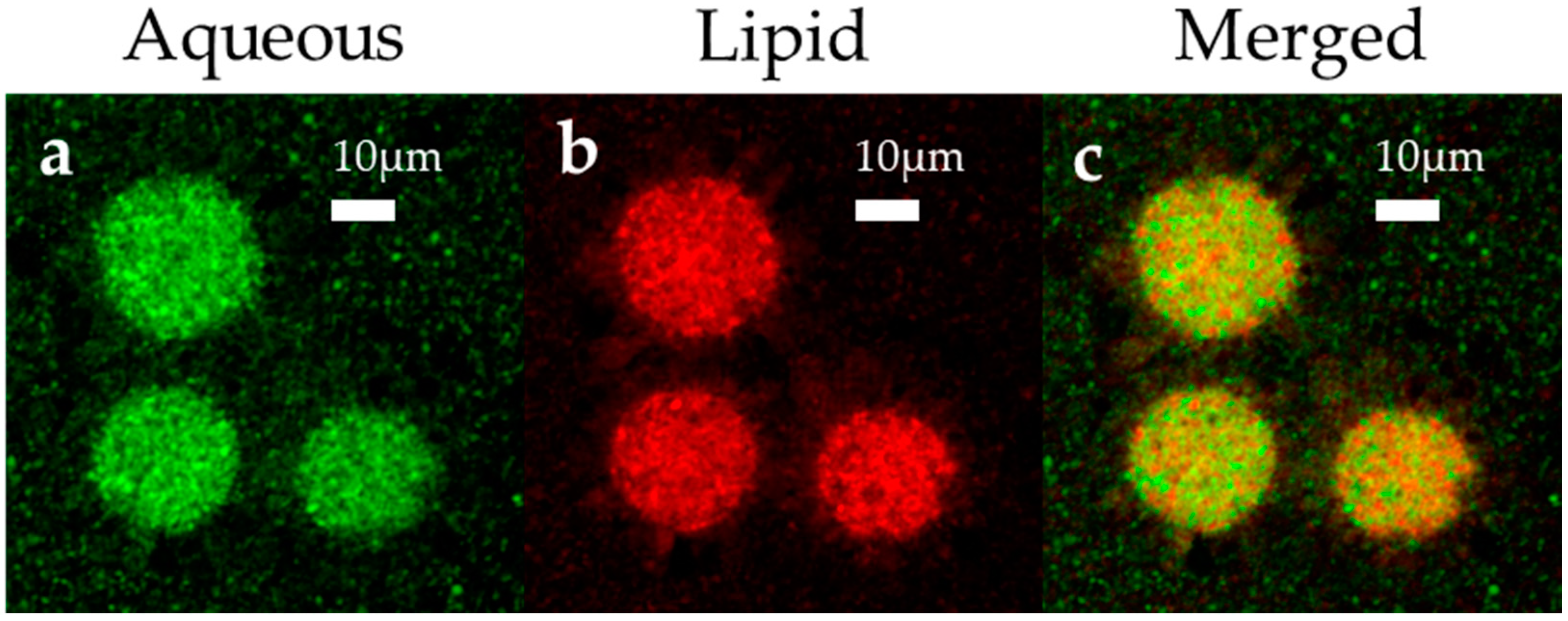 Pharmaceutics 12 00736 g004 Pharmaceutics 12 00736 g004
