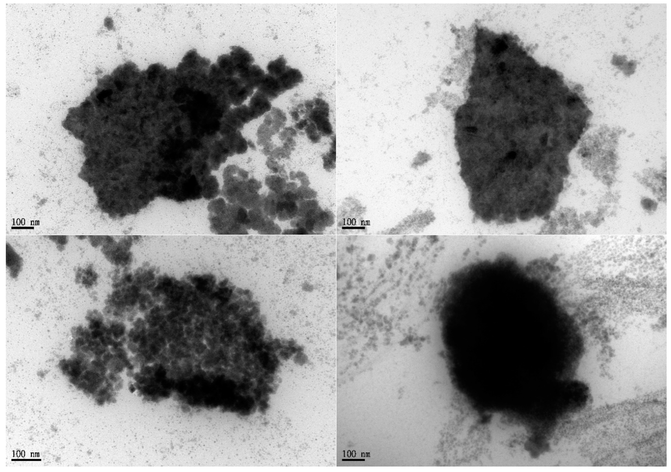 Pharmaceutics 12 00737 g003