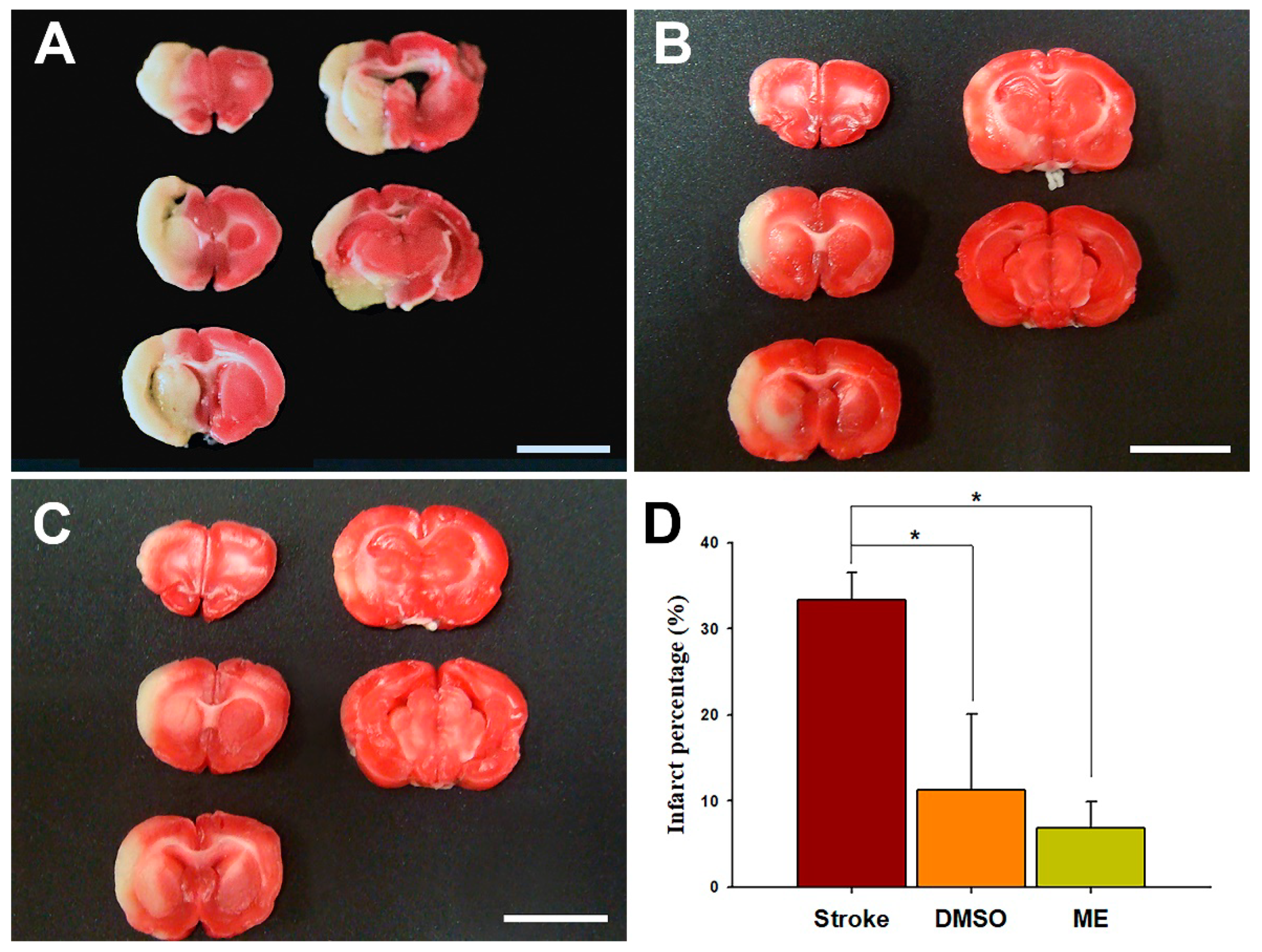 Pharmaceutics 12 00737 g007