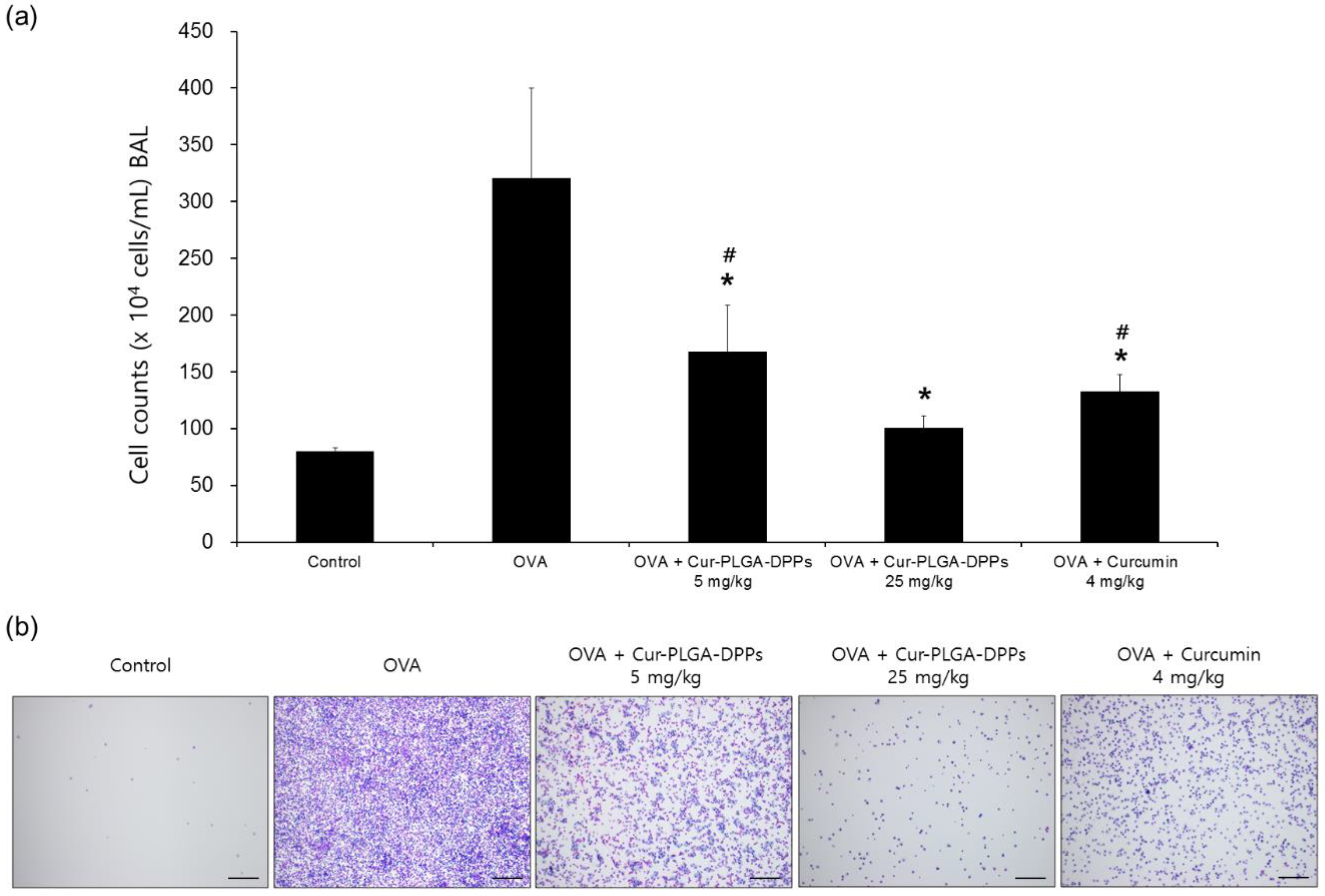 Pharmaceutics 12 00739 g005 Pharmaceutics 12 00739 g005