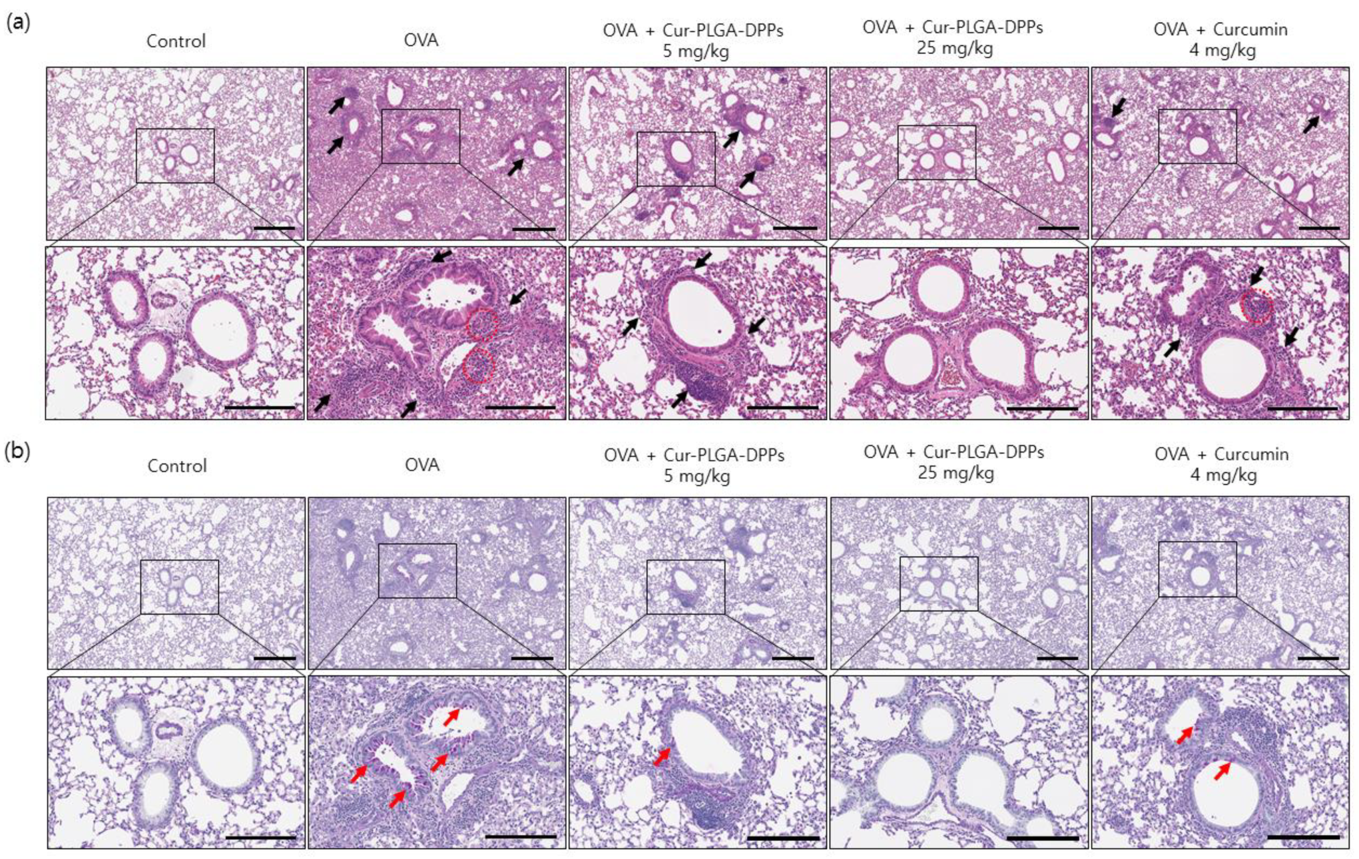 Pharmaceutics 12 00739 g006 Pharmaceutics 12 00739 g006