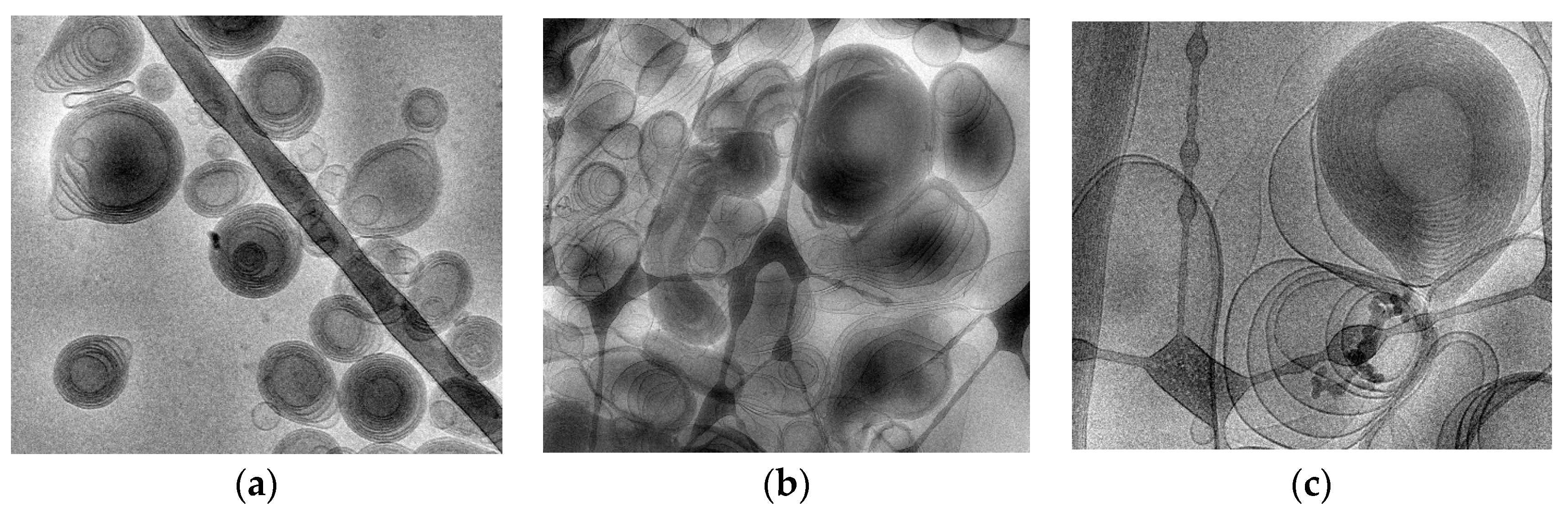 Pharmaceutics 12 00740 g002