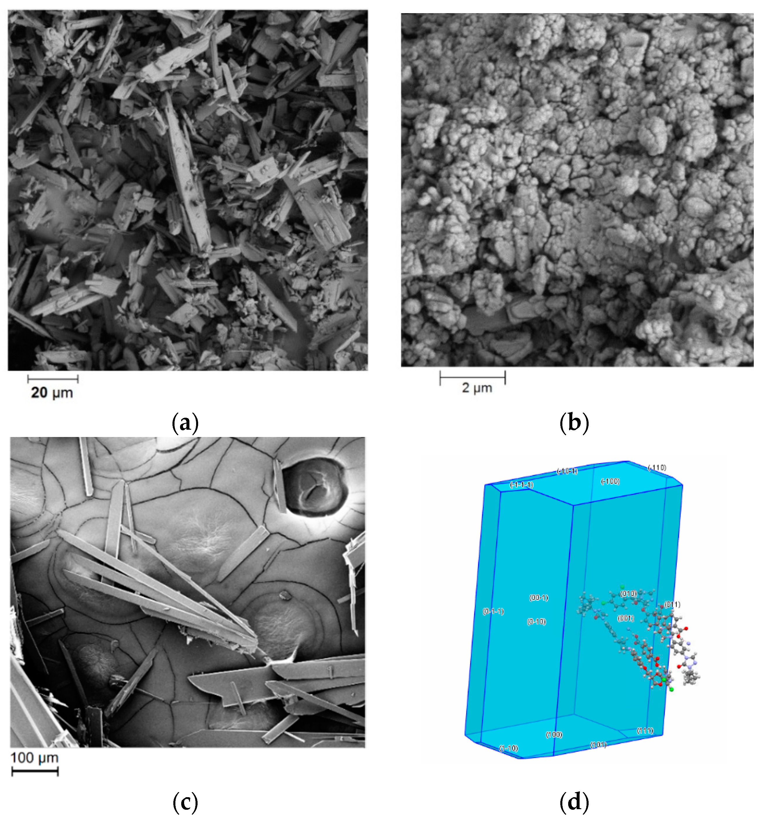 Pharmaceutics 12 00741 g009