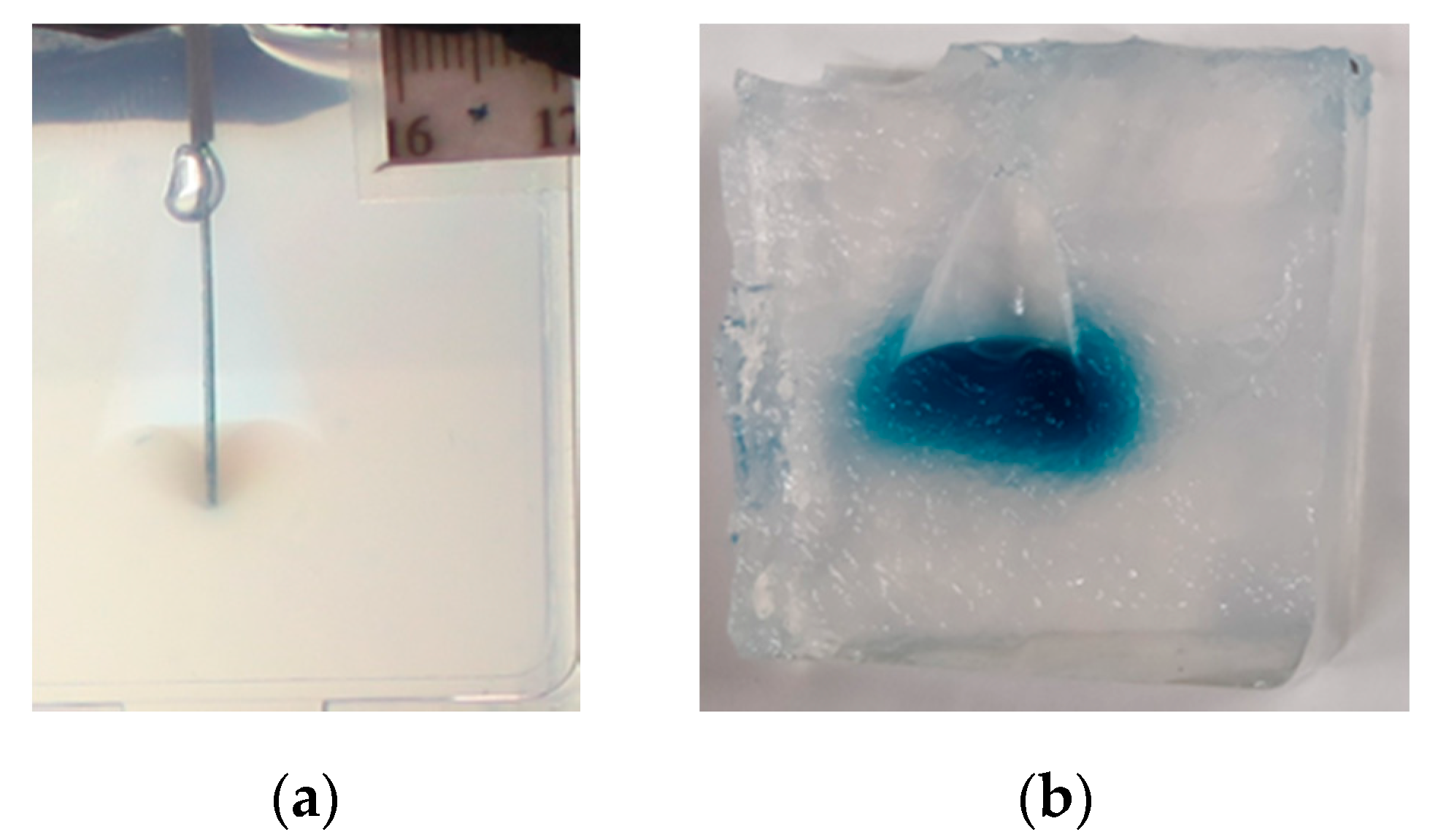 Pharmaceutics 12 00753 g005 Pharmaceutics 12 00753 g005