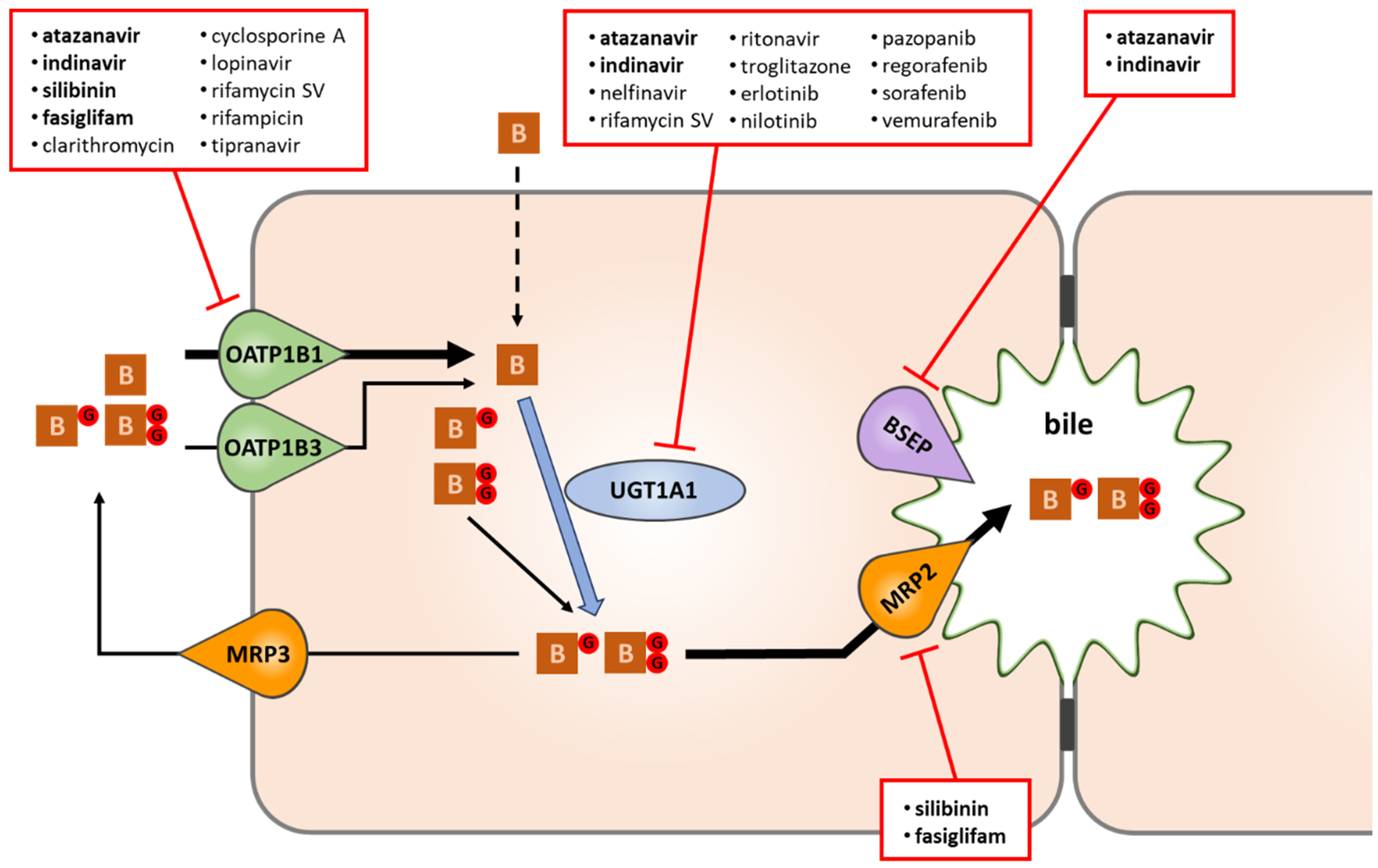 Pharmaceutics 12 00755 g002 Pharmaceutics 12 00755 g002