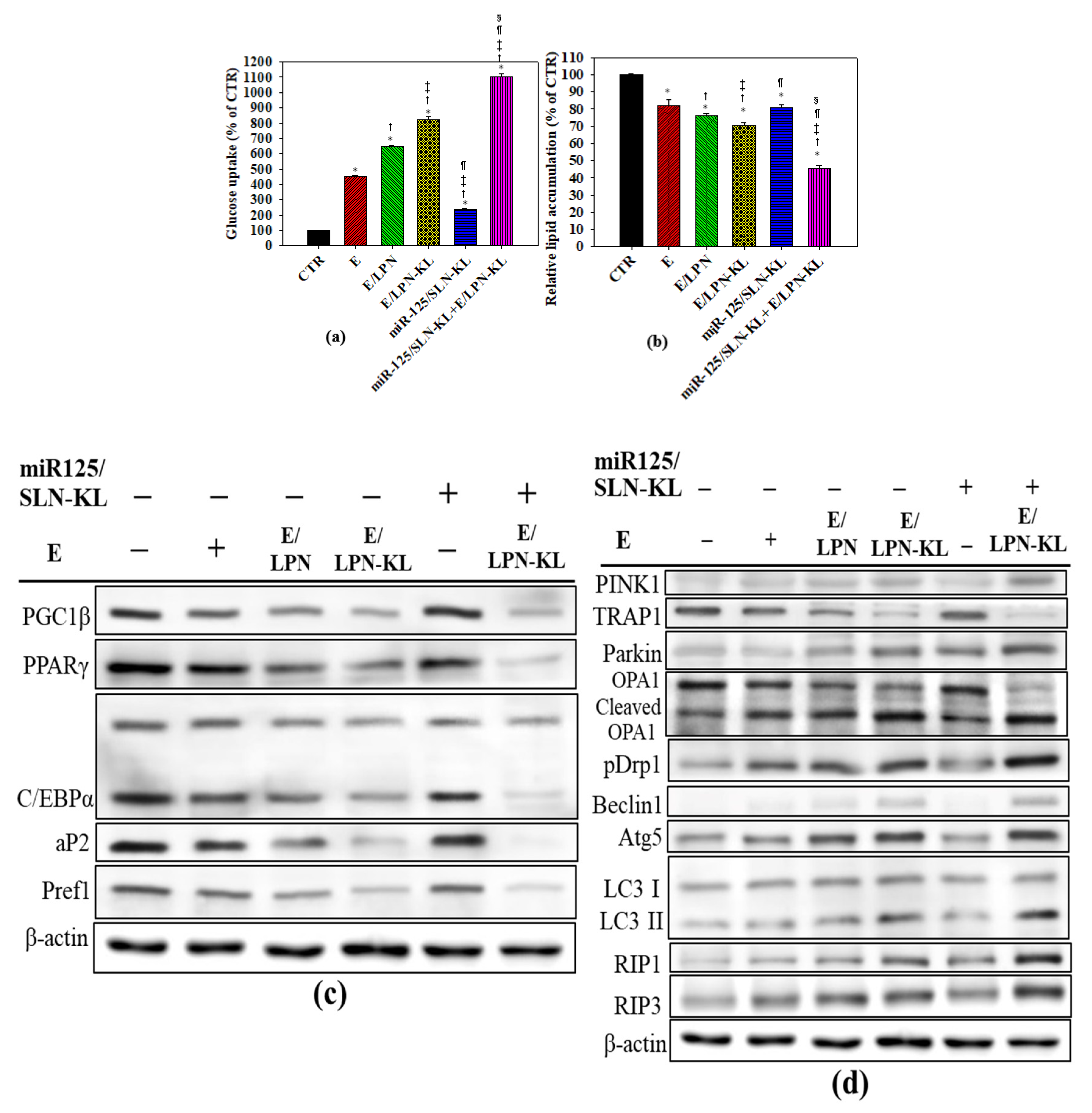 Pharmaceutics 12 00756 g004 Pharmaceutics 12 00756 g004