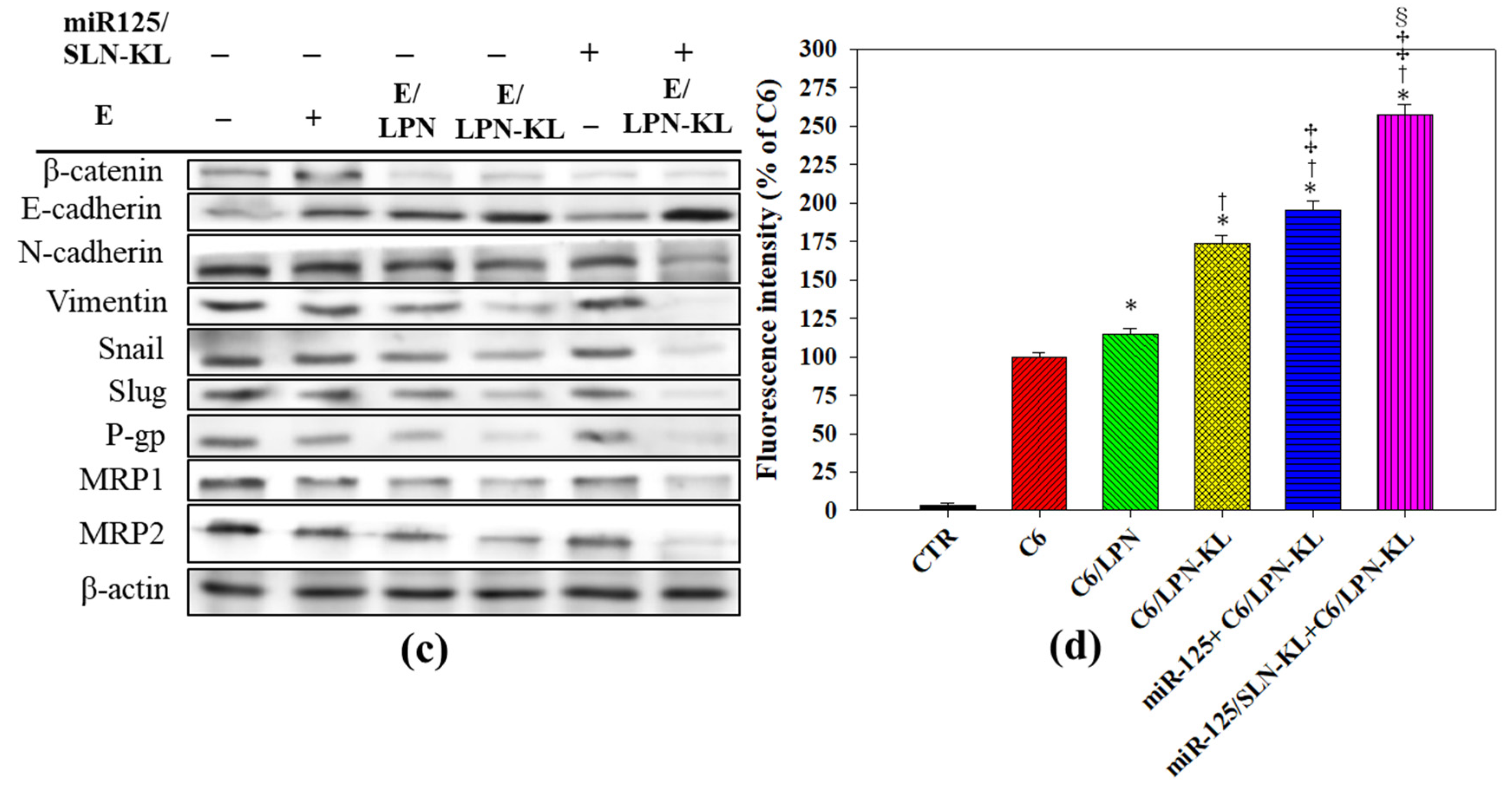 Pharmaceutics 12 00756 g005b Pharmaceutics 12 00756 g005b