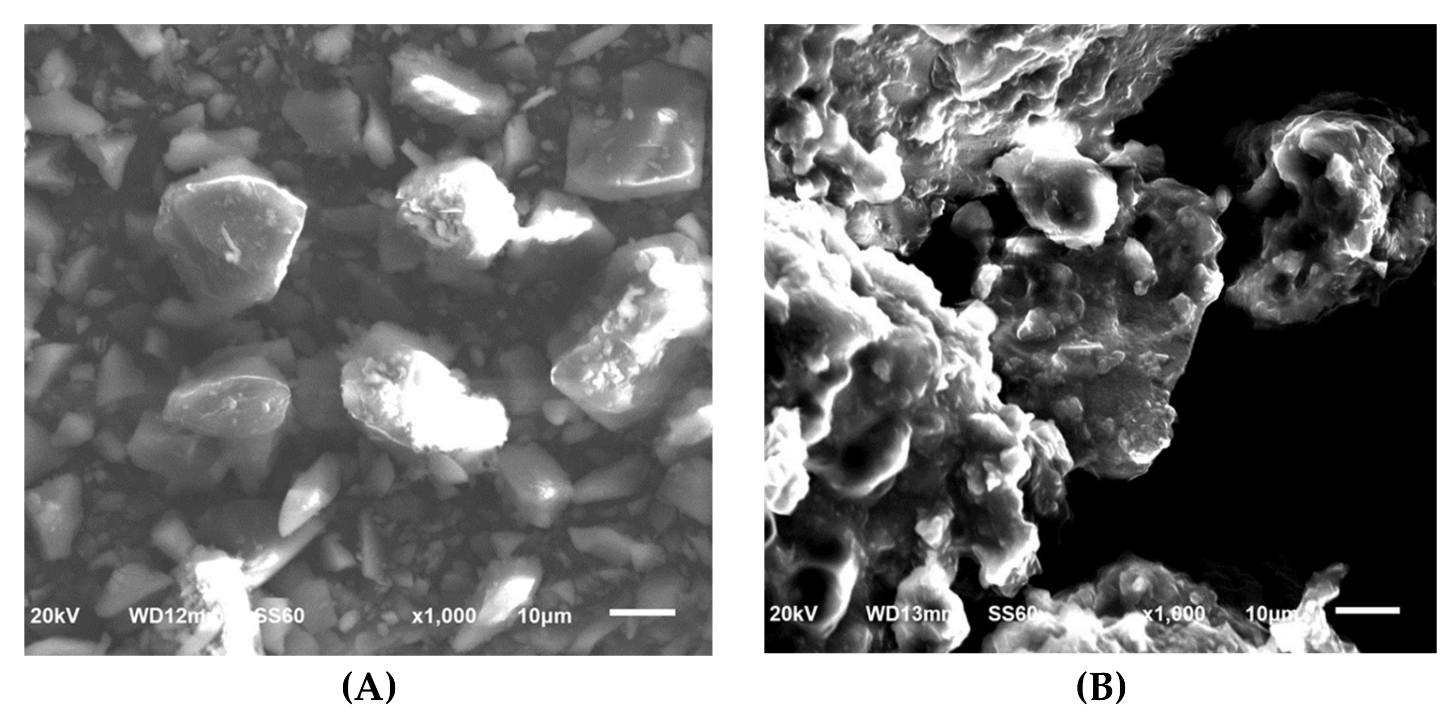 Pharmaceutics 12 00757 g007 Pharmaceutics 12 00757 g007