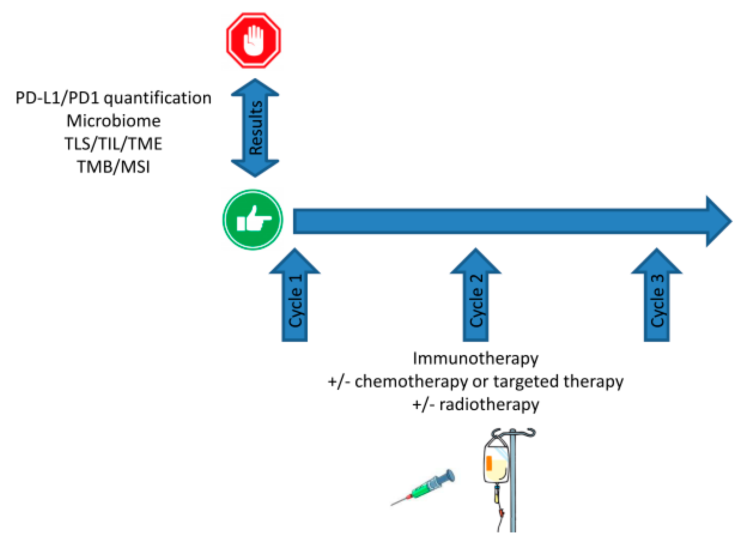 Pharmaceutics 12 00758 g003