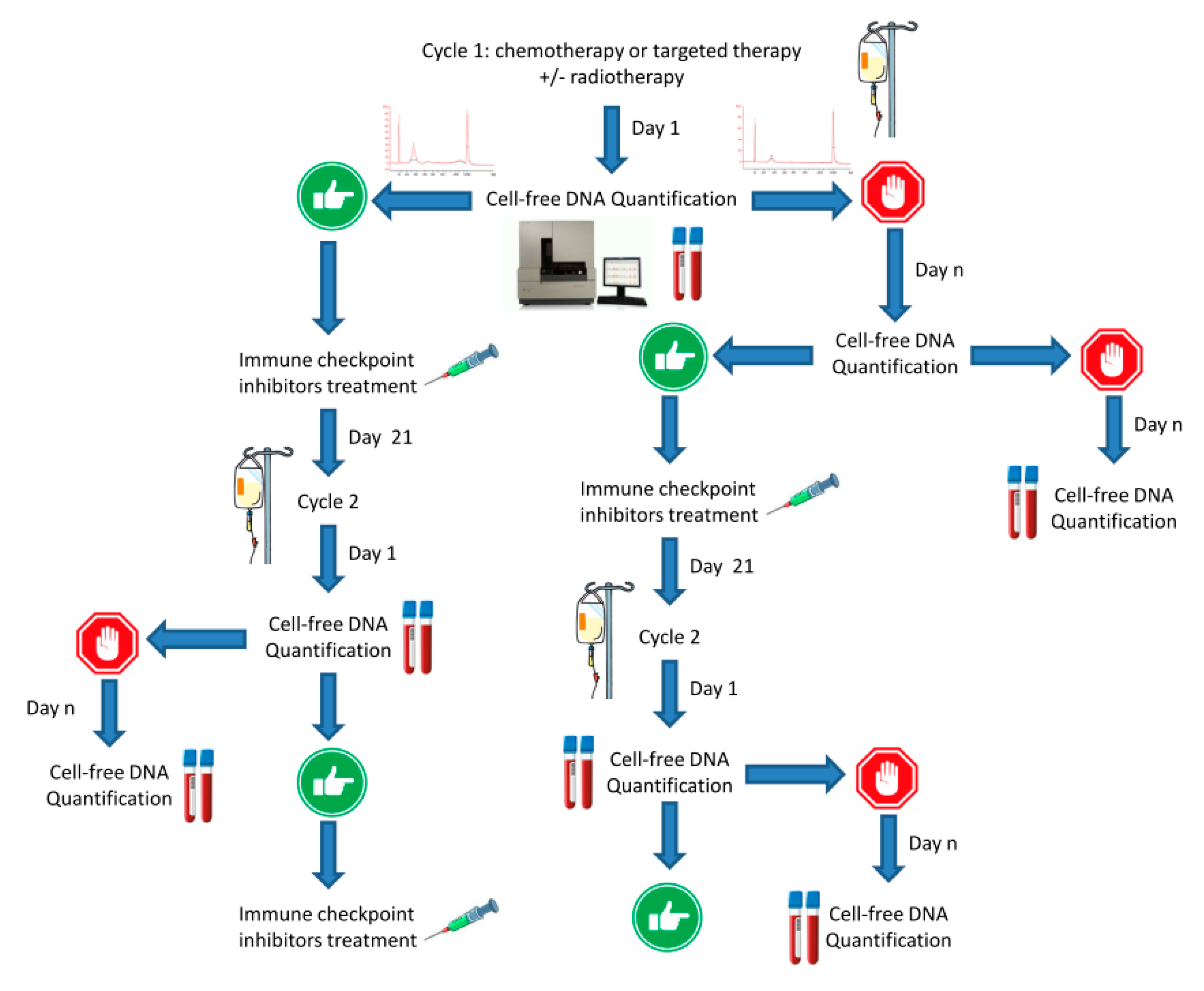 Pharmaceutics 12 00758 g004