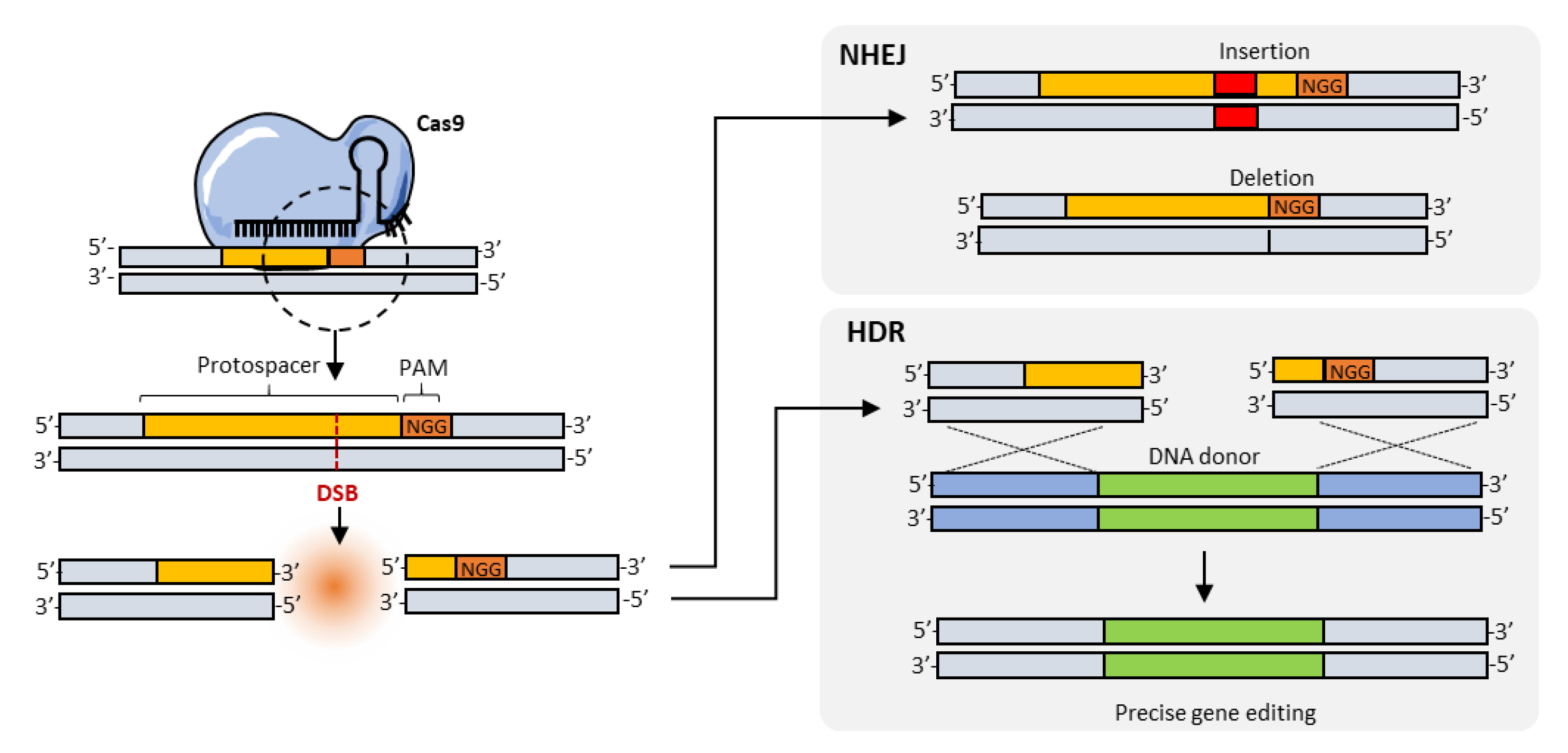 Pharmaceutics 12 00759 g003 Pharmaceutics 12 00759 g003