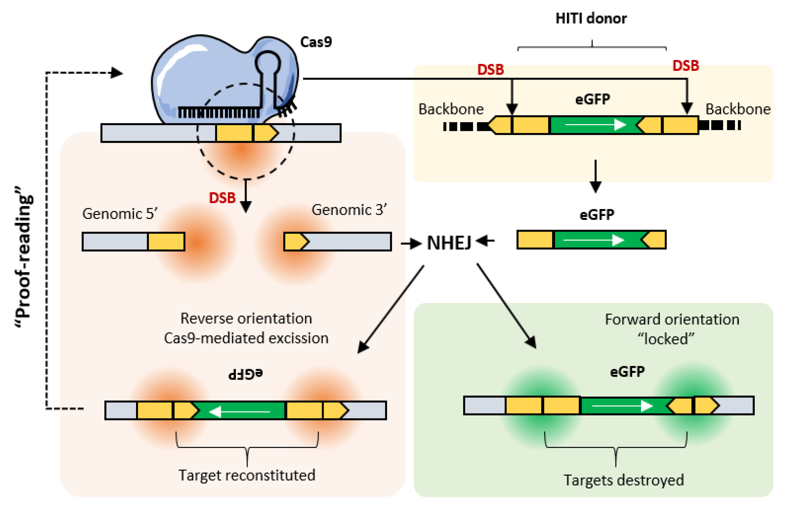 Pharmaceutics 12 00759 g005 Pharmaceutics 12 00759 g005