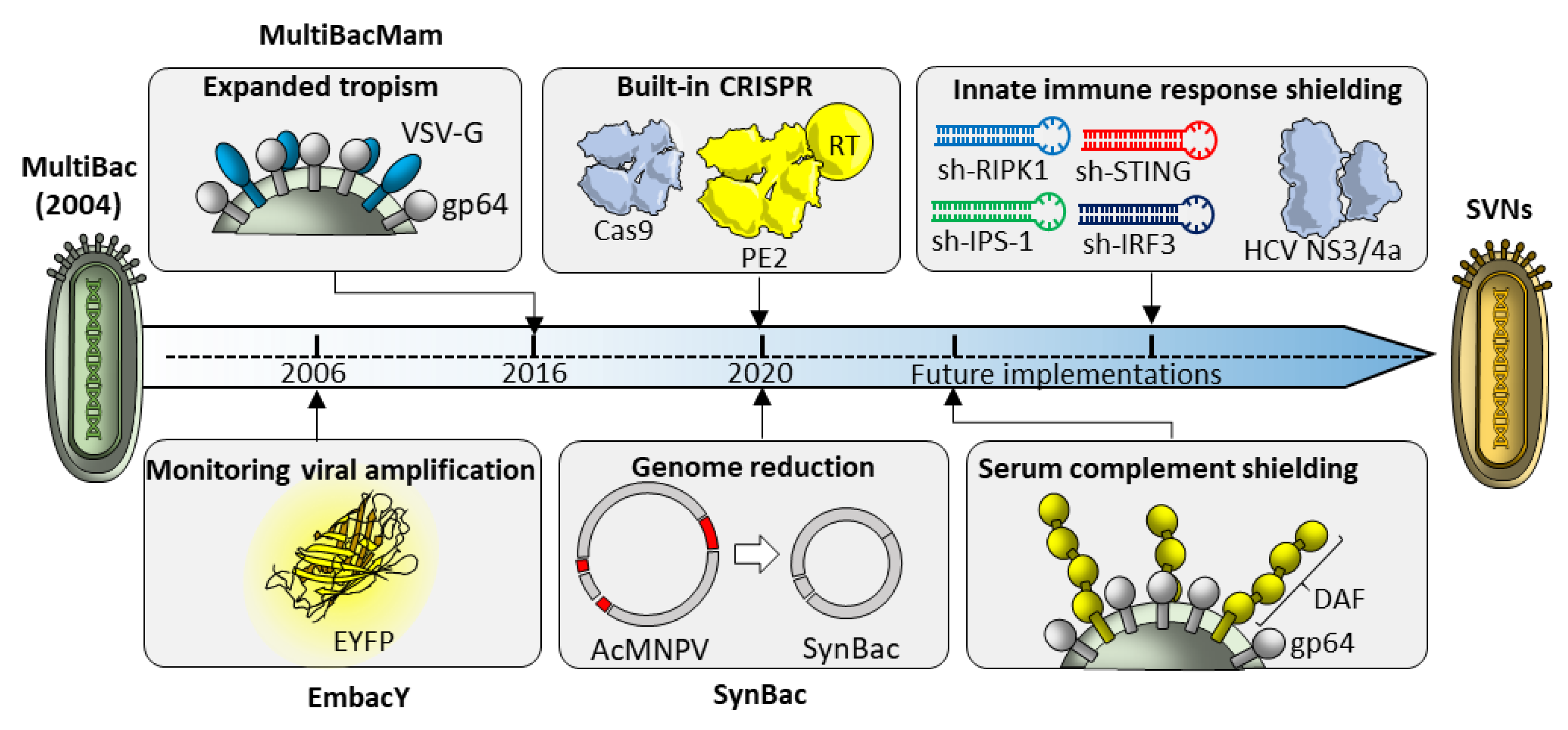 Pharmaceutics 12 00759 g008 Pharmaceutics 12 00759 g008