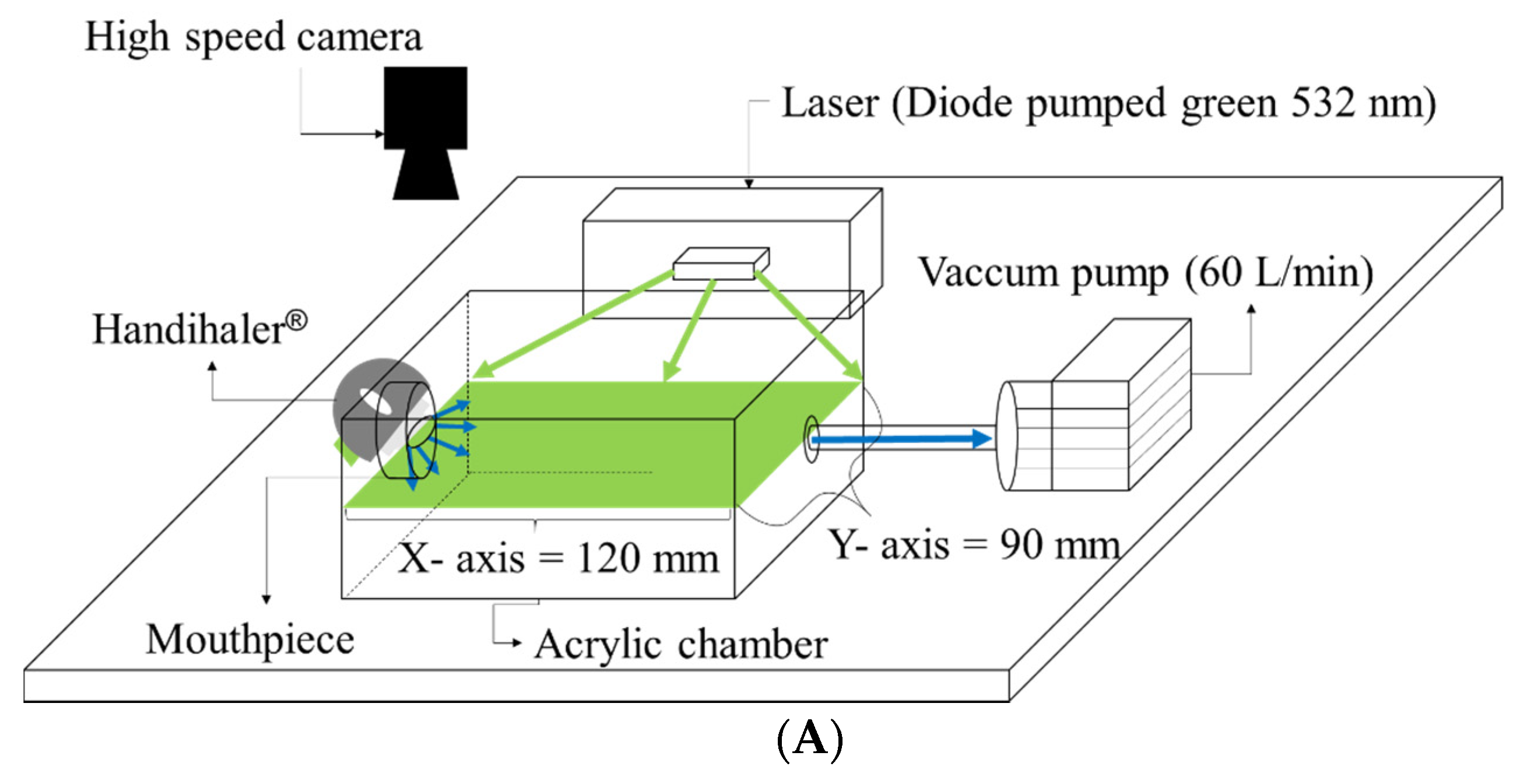Pharmaceutics 12 00765 g001a Pharmaceutics 12 00765 g001a