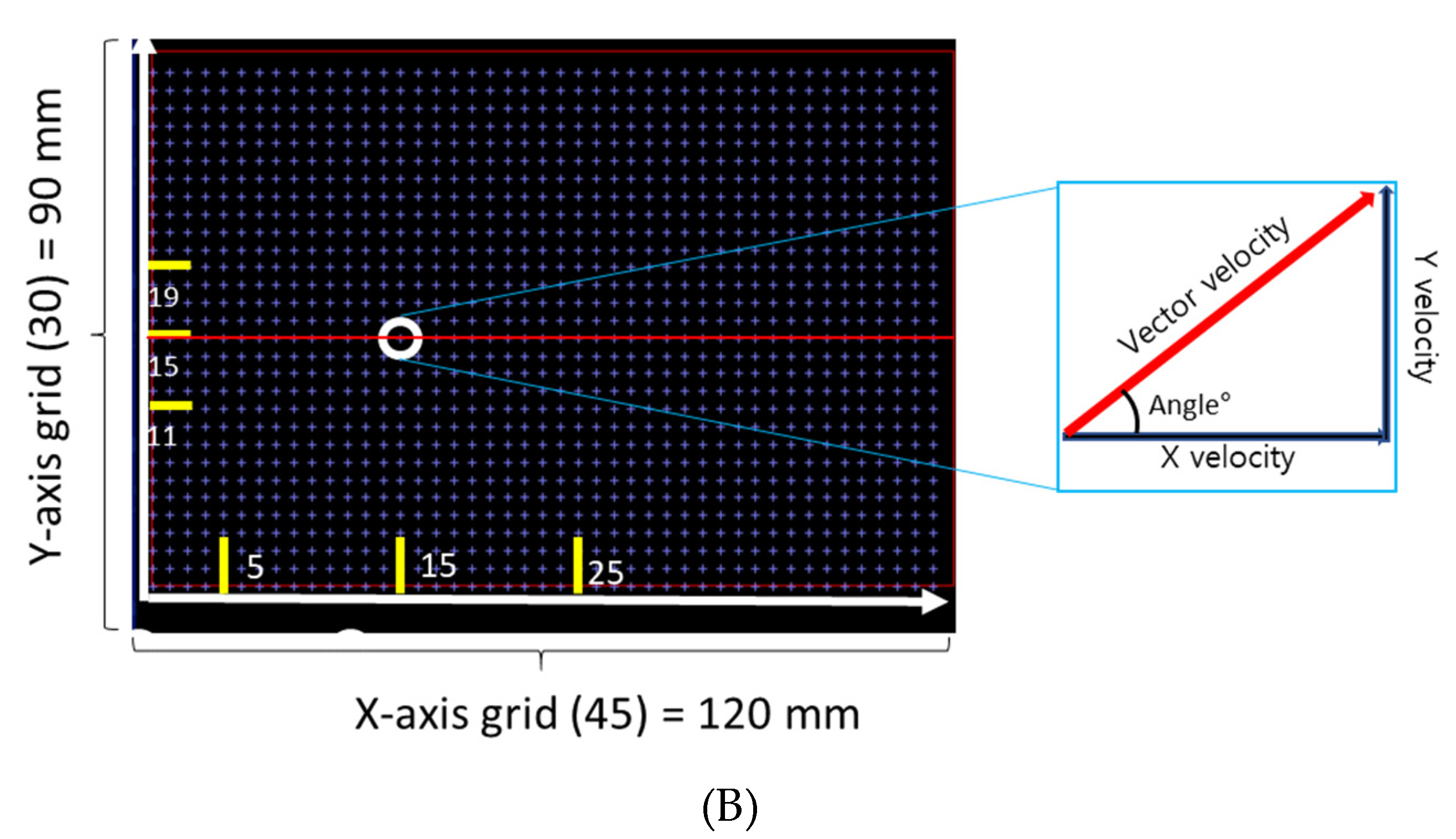 Pharmaceutics 12 00765 g001b Pharmaceutics 12 00765 g001b