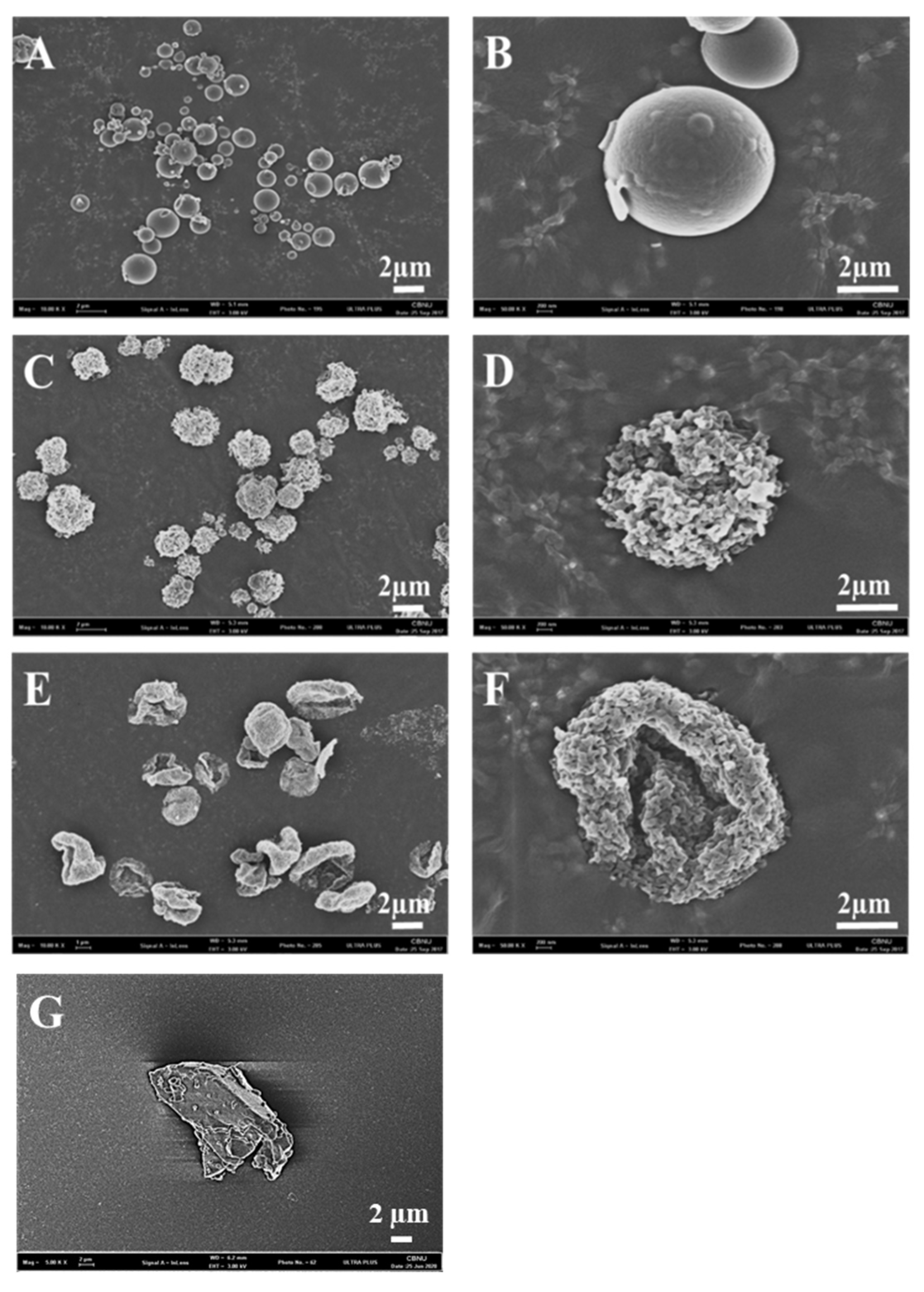 Pharmaceutics 12 00765 g002 Pharmaceutics 12 00765 g002