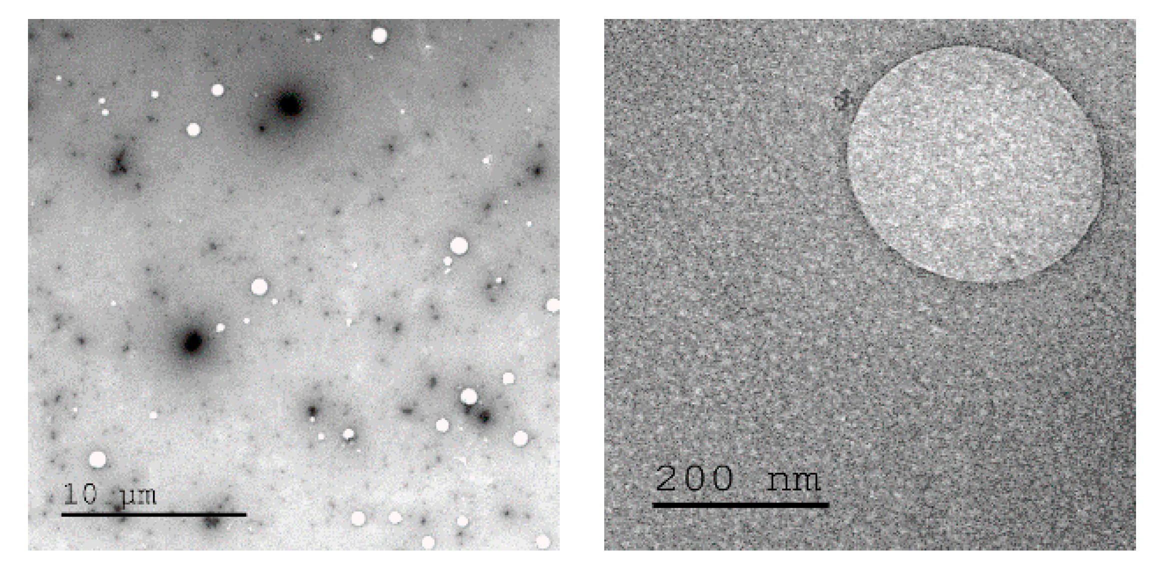 Pharmaceutics 12 00768 g002 Pharmaceutics 12 00768 g002