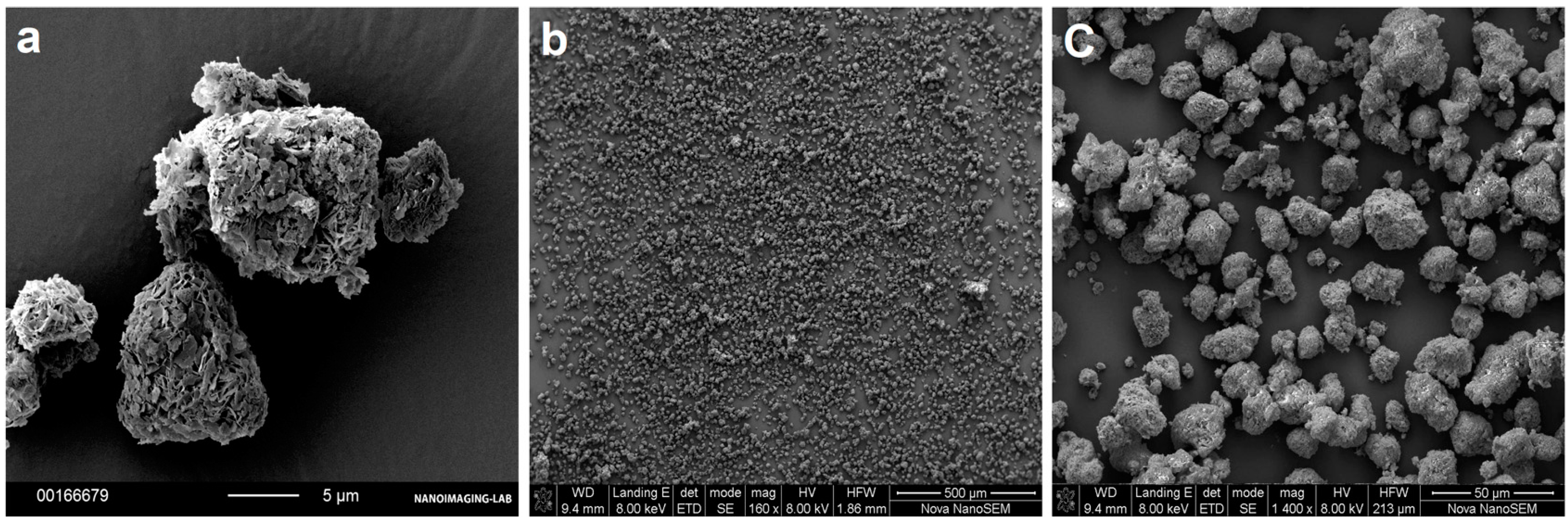 Pharmaceutics 12 00777 g004 Pharmaceutics 12 00777 g004