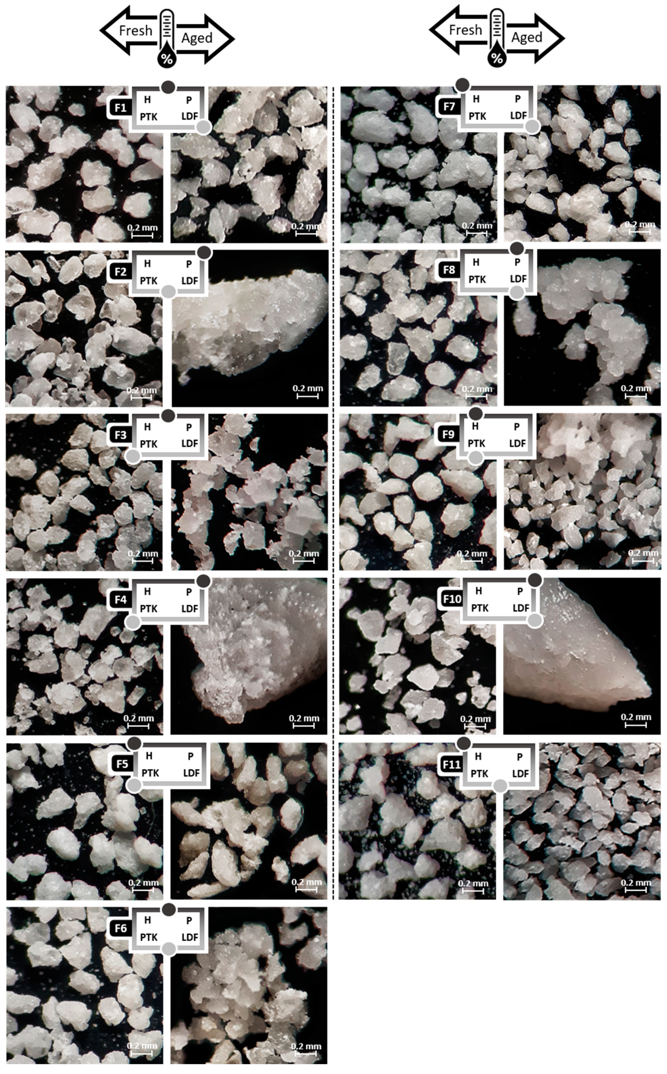 Pharmaceutics 12 00779 g002