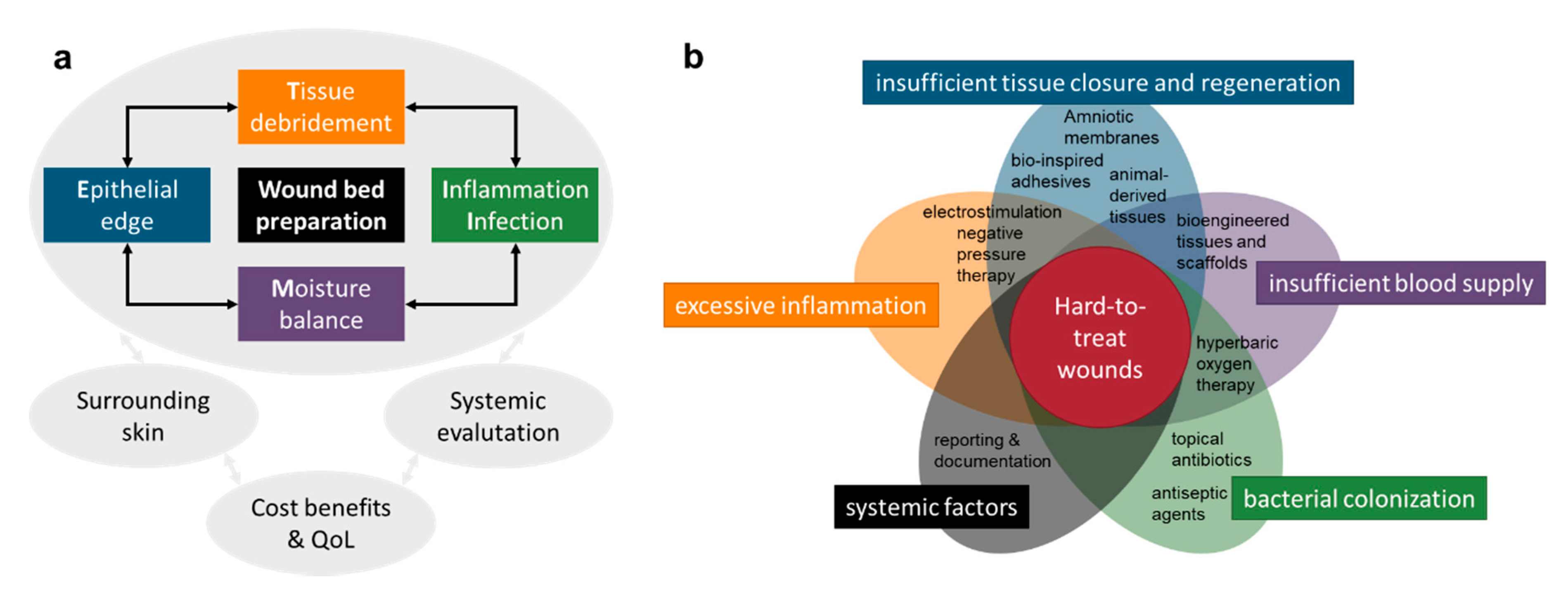 Pharmaceutics 12 00780 g002
