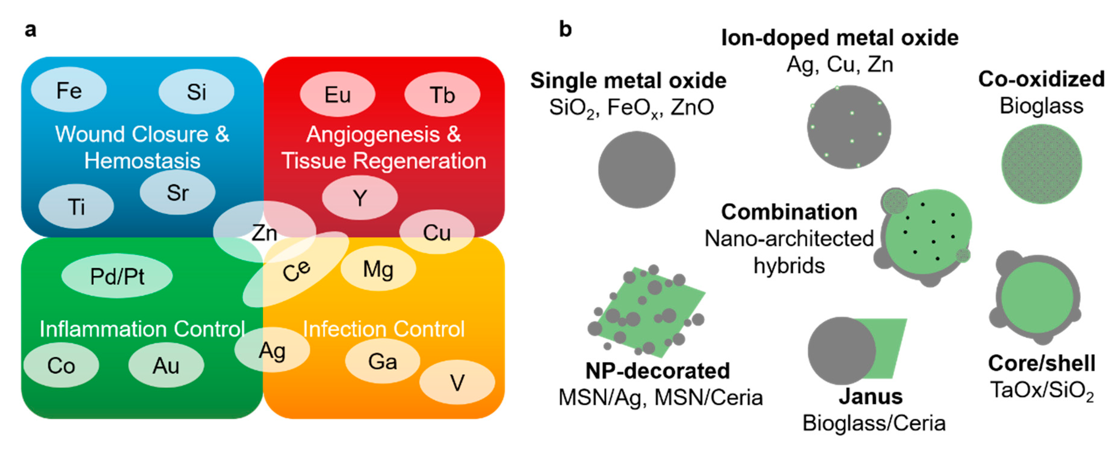 Pharmaceutics 12 00780 g004