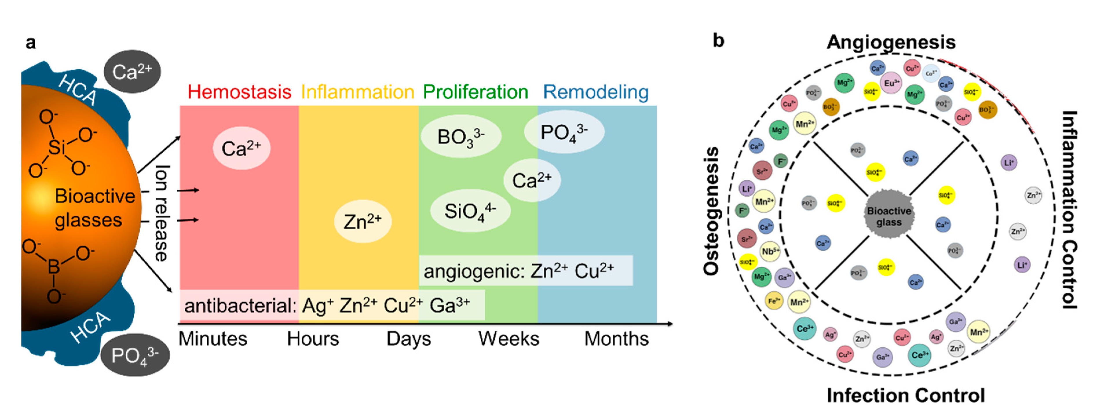 Pharmaceutics 12 00780 g005