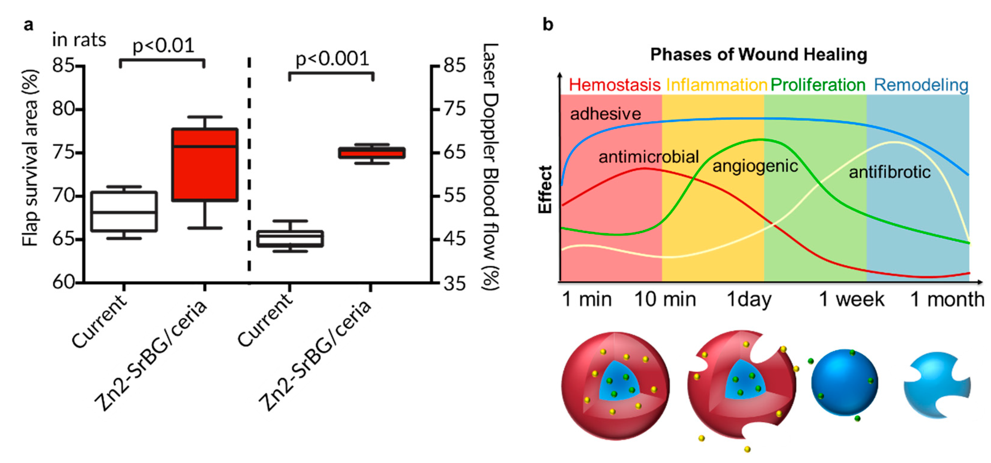 Pharmaceutics 12 00780 g006