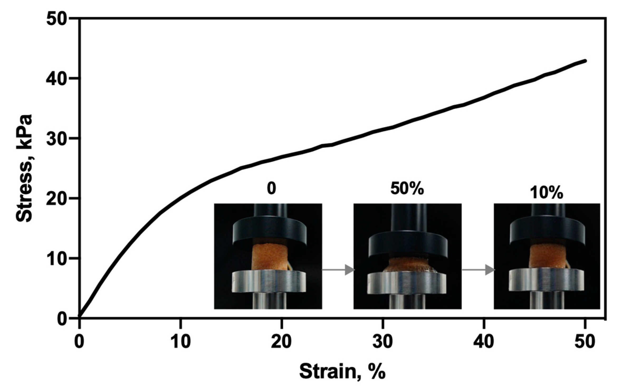 Pharmaceutics 12 00784 g005