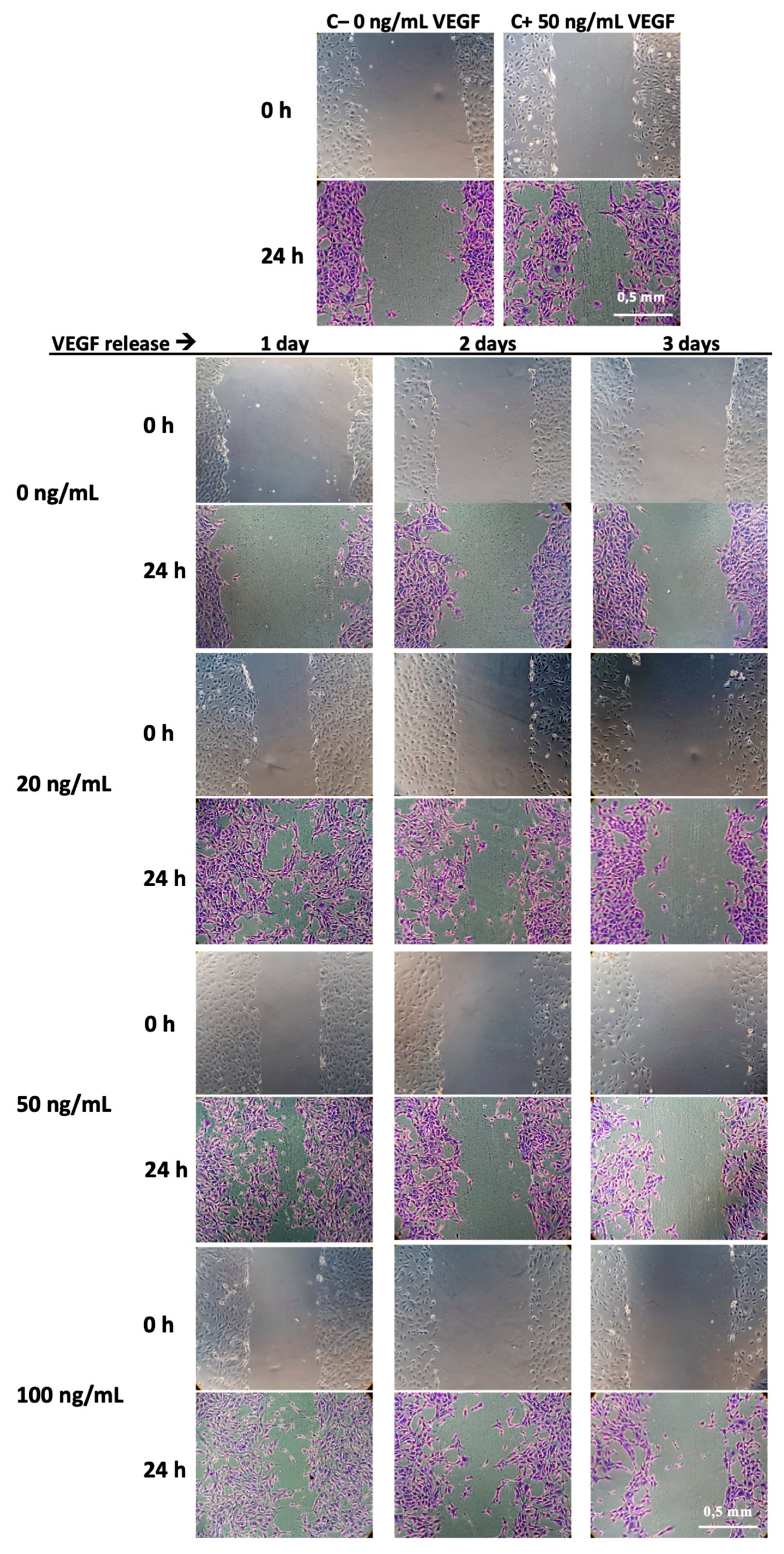 Pharmaceutics 12 00784 g009