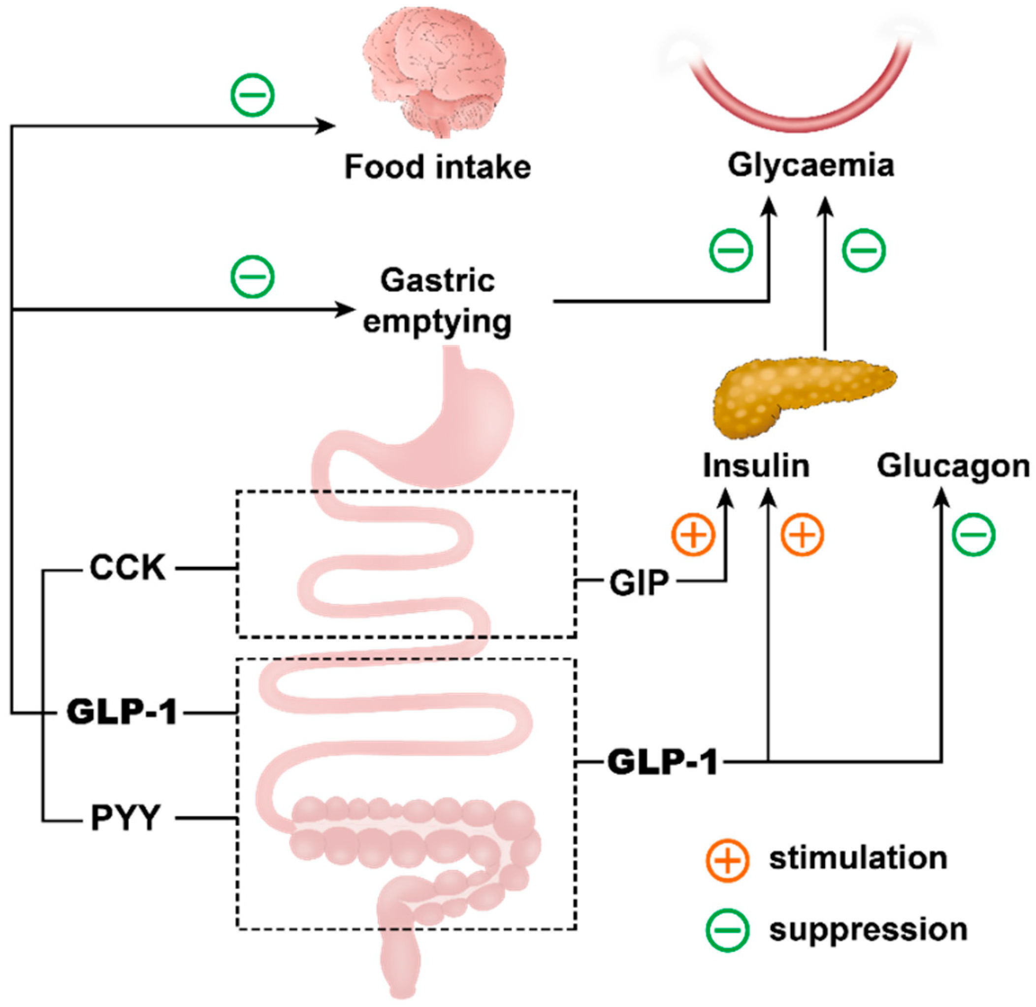 Pharmaceutics 12 00790 g002 Pharmaceutics 12 00790 g002