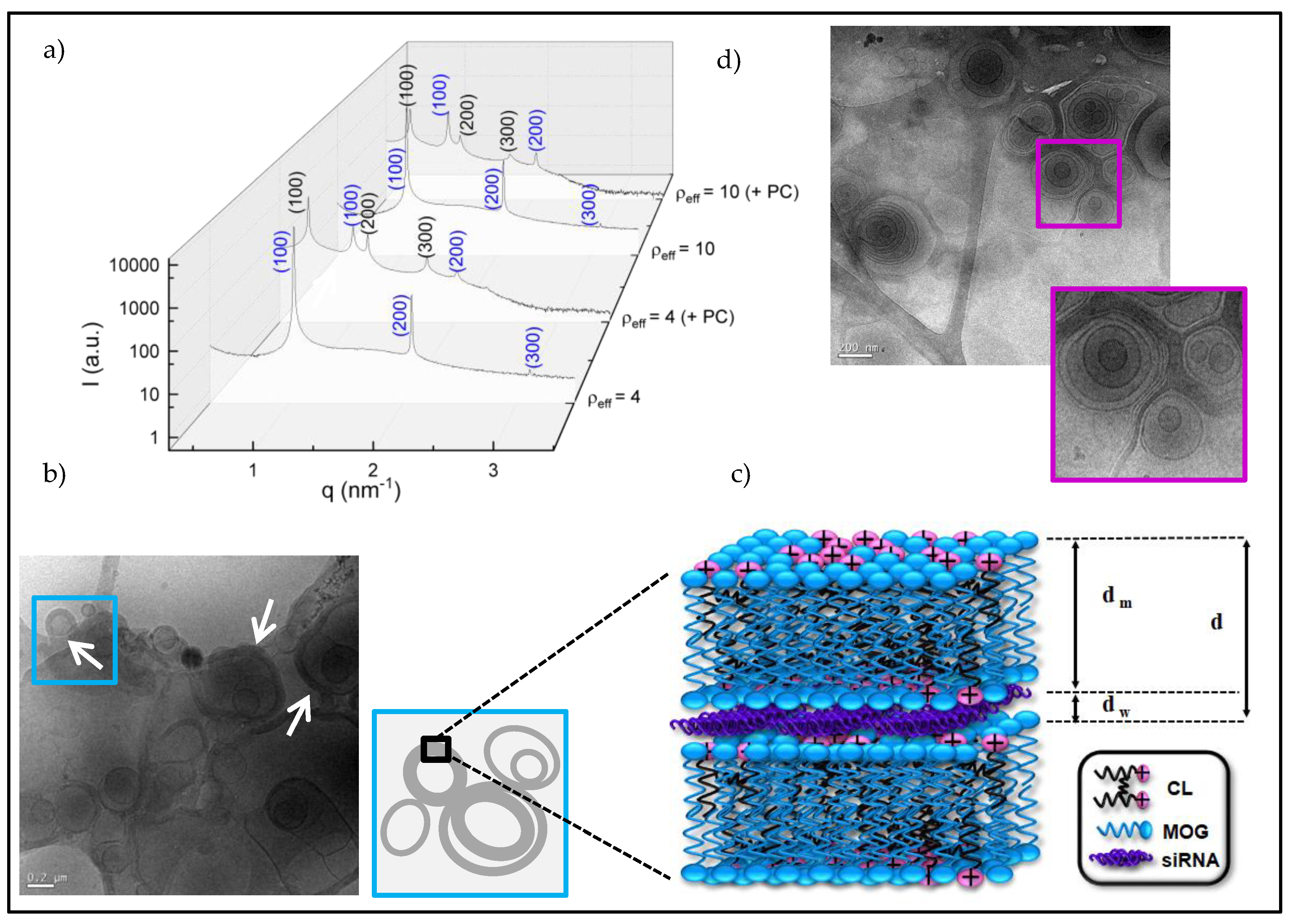 Pharmaceutics 12 00791 g002 Pharmaceutics 12 00791 g002