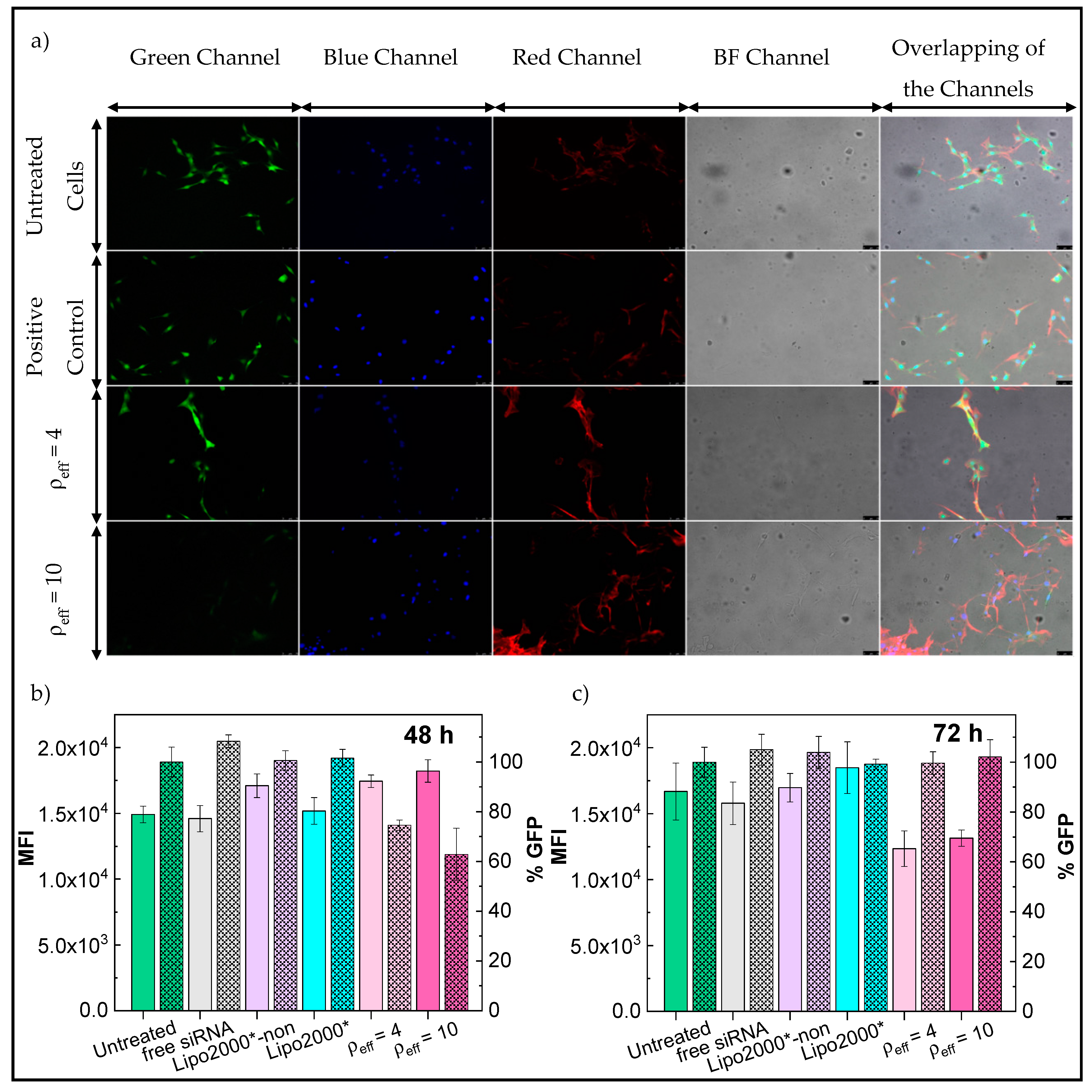 Pharmaceutics 12 00791 g005 Pharmaceutics 12 00791 g005
