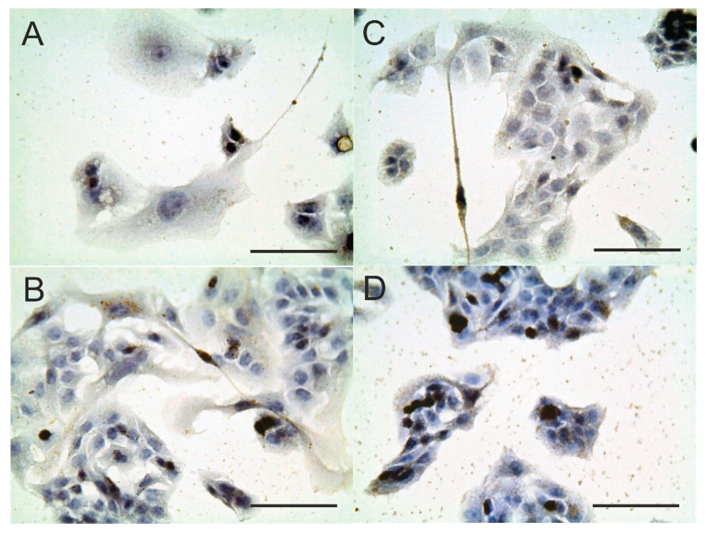 Pharmaceutics 12 00794 g003 Pharmaceutics 12 00794 g003