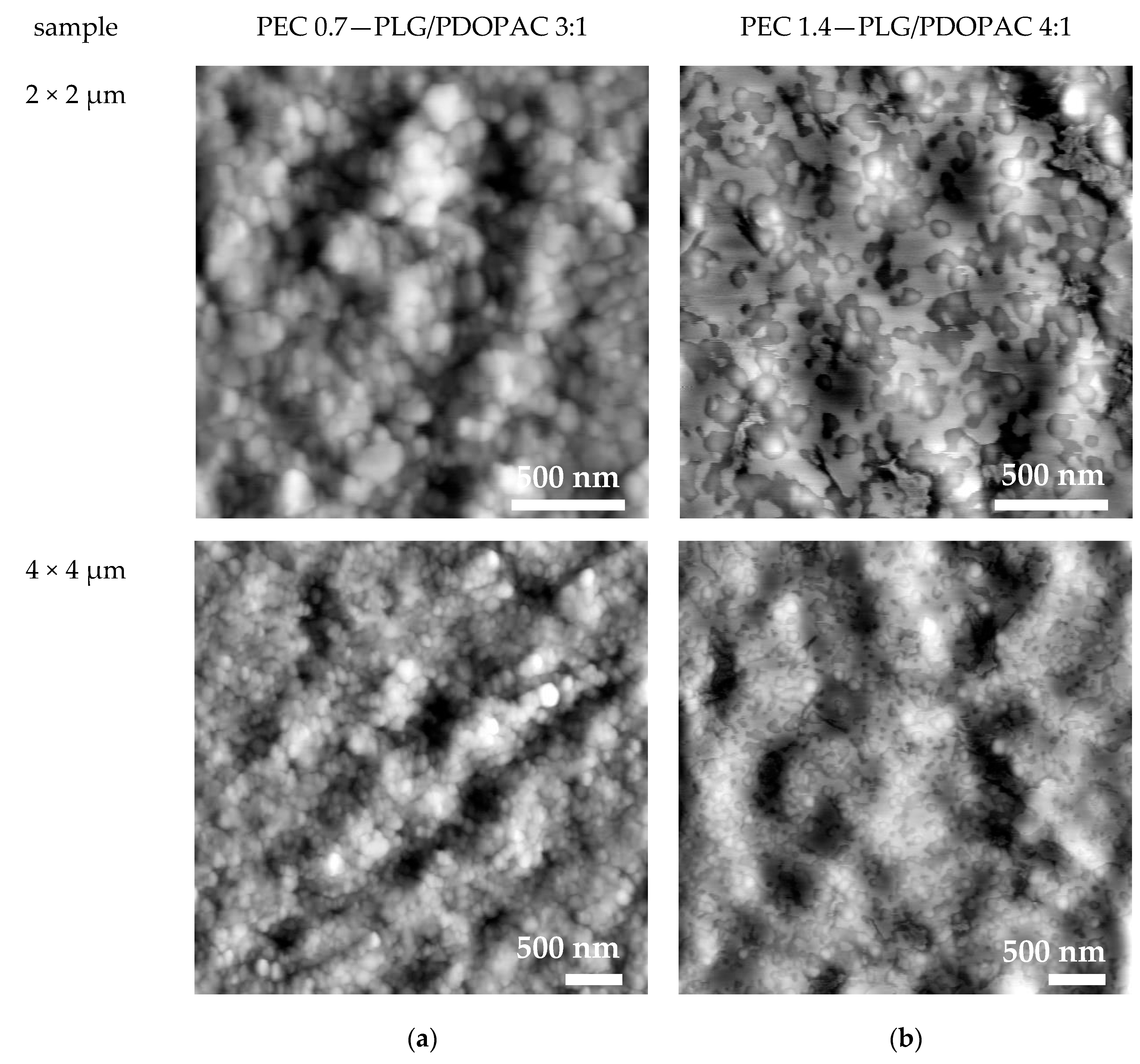 Pharmaceutics 12 00799 g005