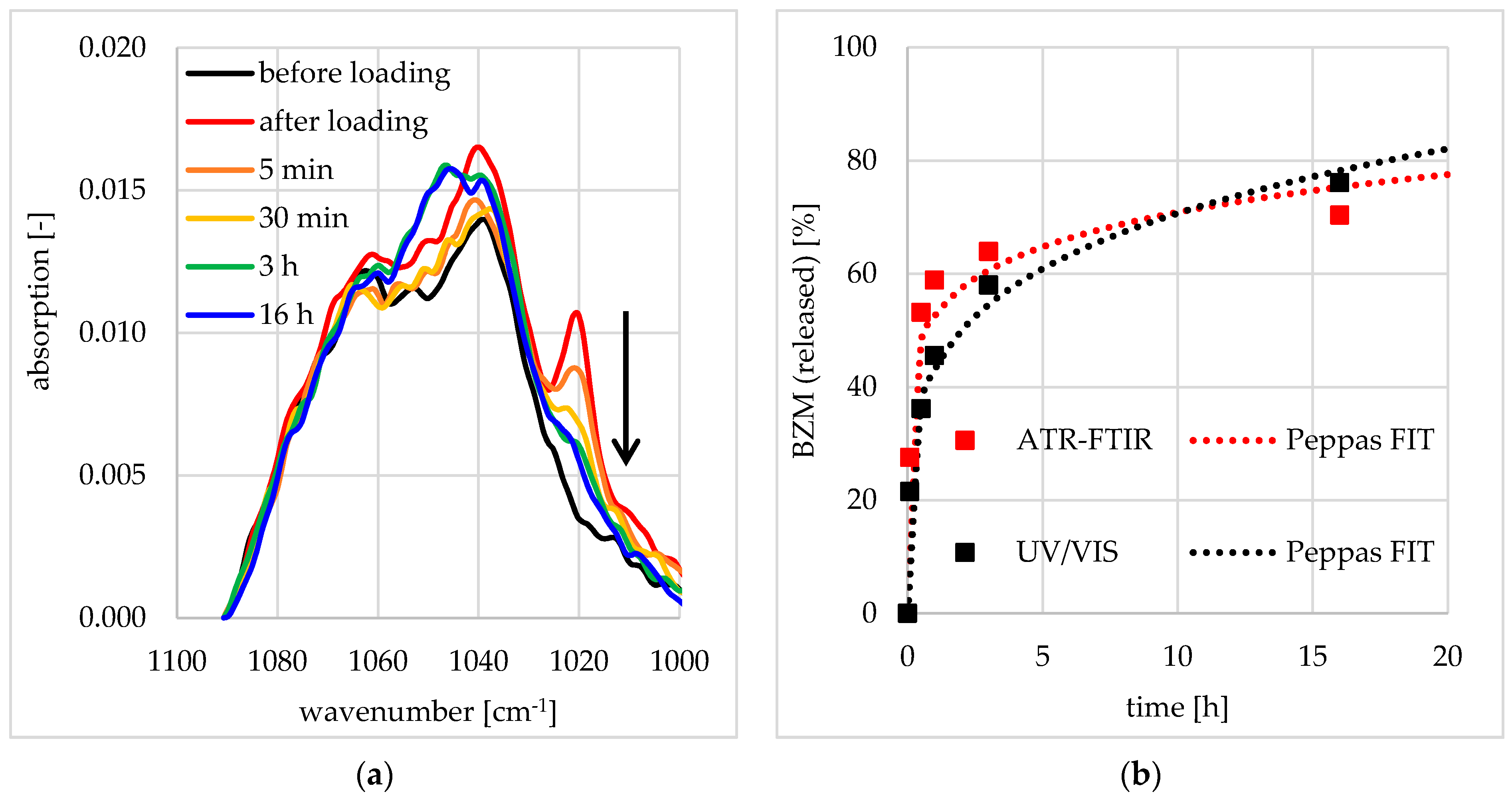 Pharmaceutics 12 00799 g013