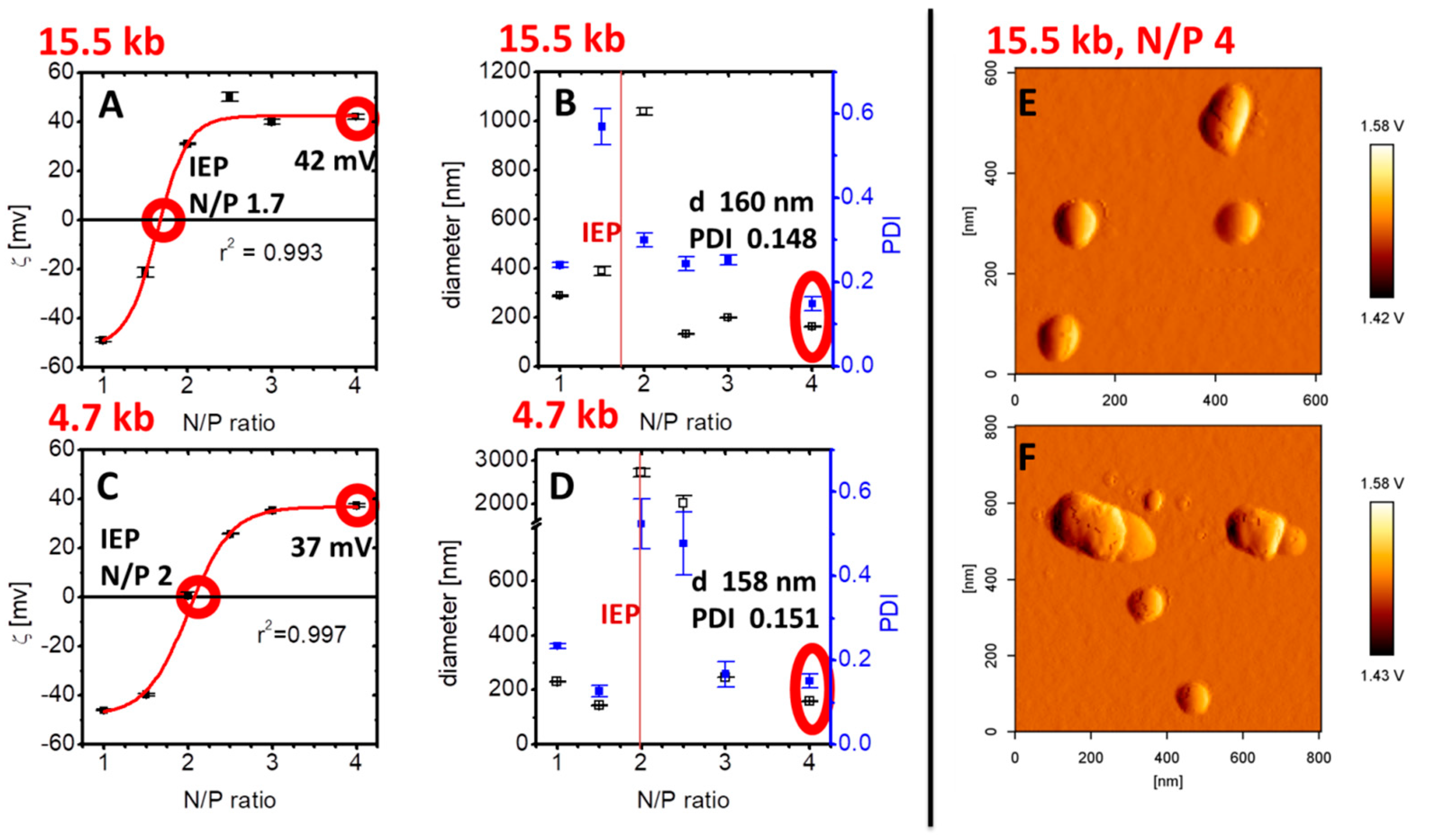 Pharmaceutics 12 00805 g002