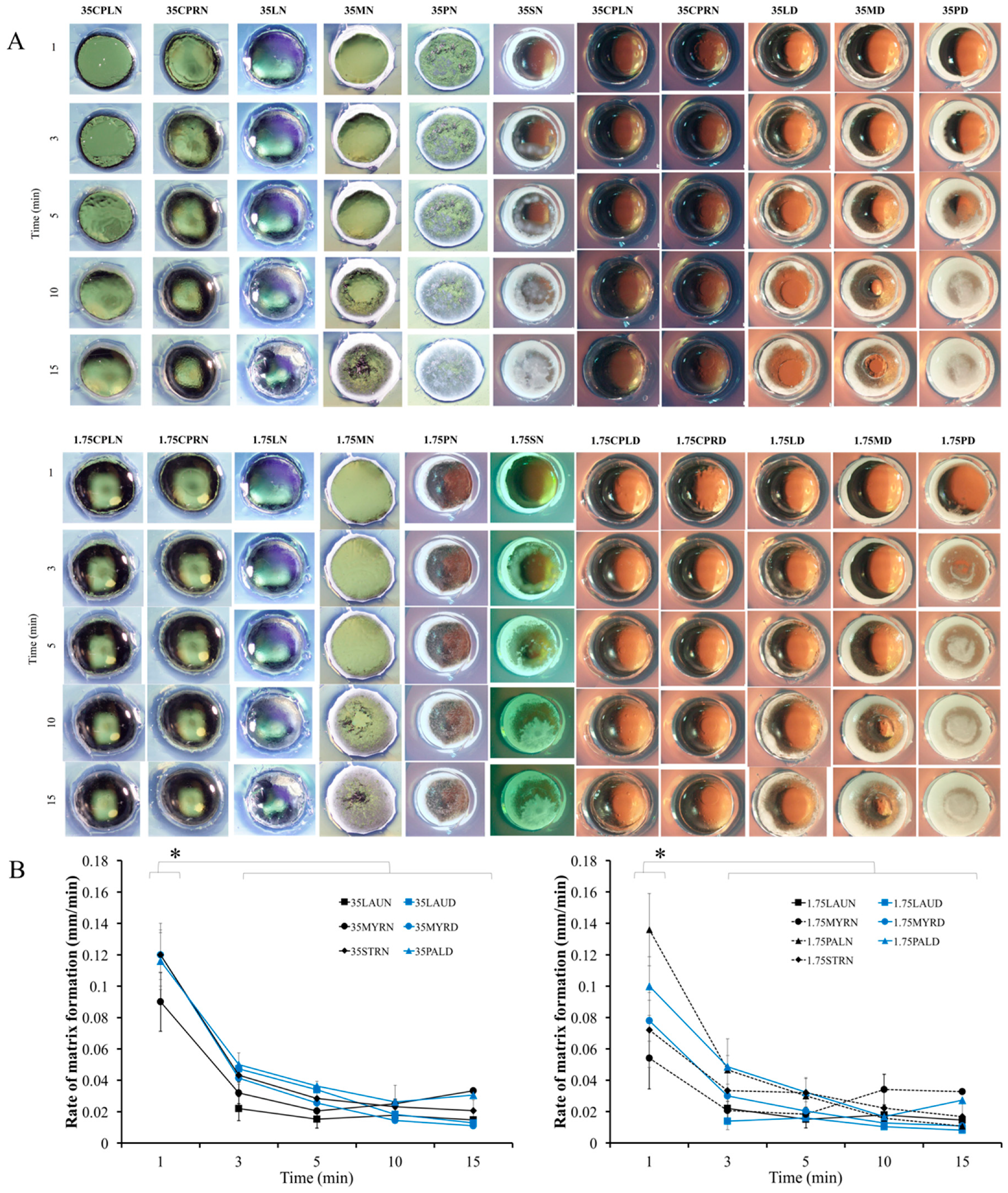 Pharmaceutics 12 00808 g002 Pharmaceutics 12 00808 g002