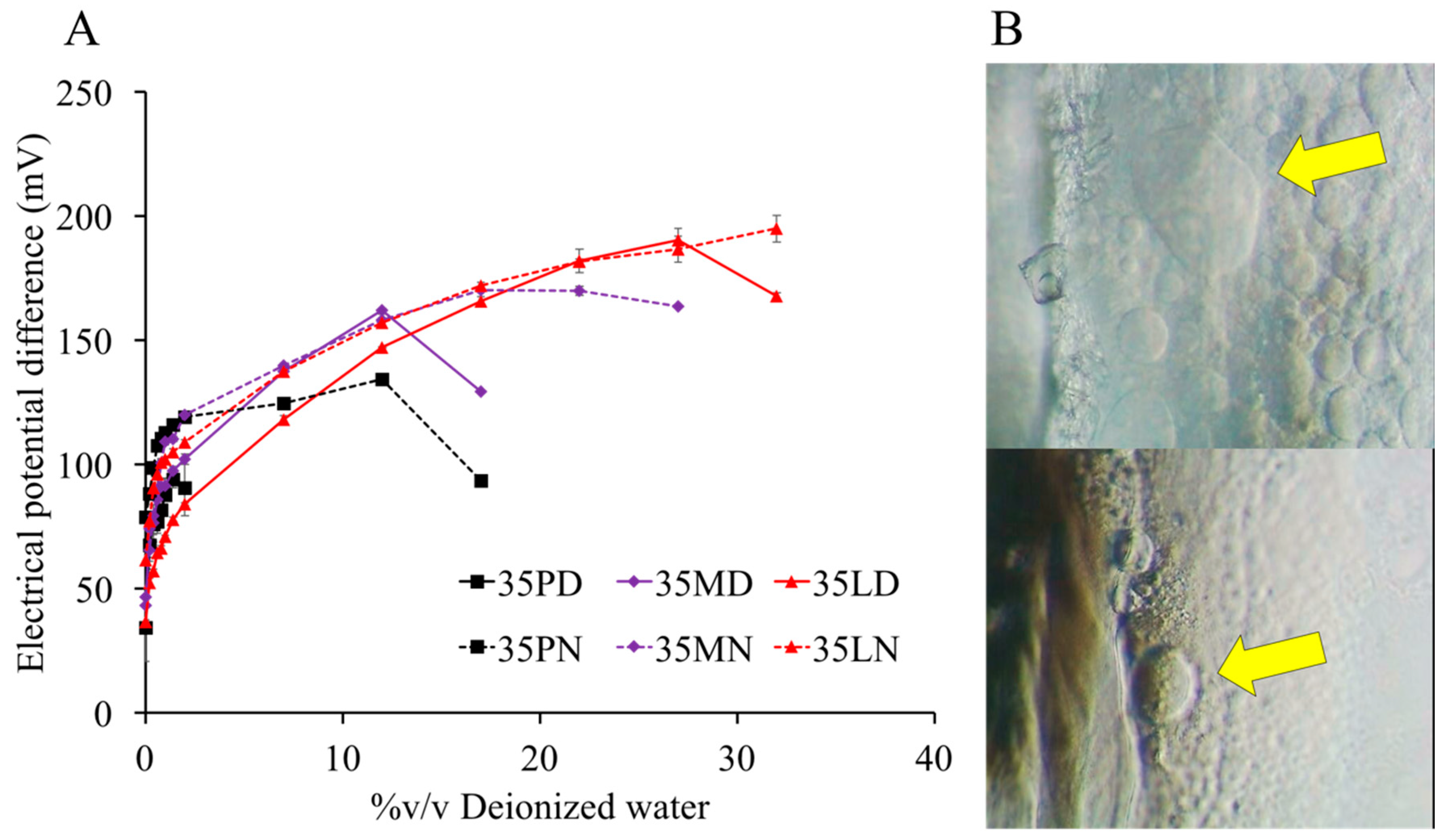 Pharmaceutics 12 00808 g004 Pharmaceutics 12 00808 g004
