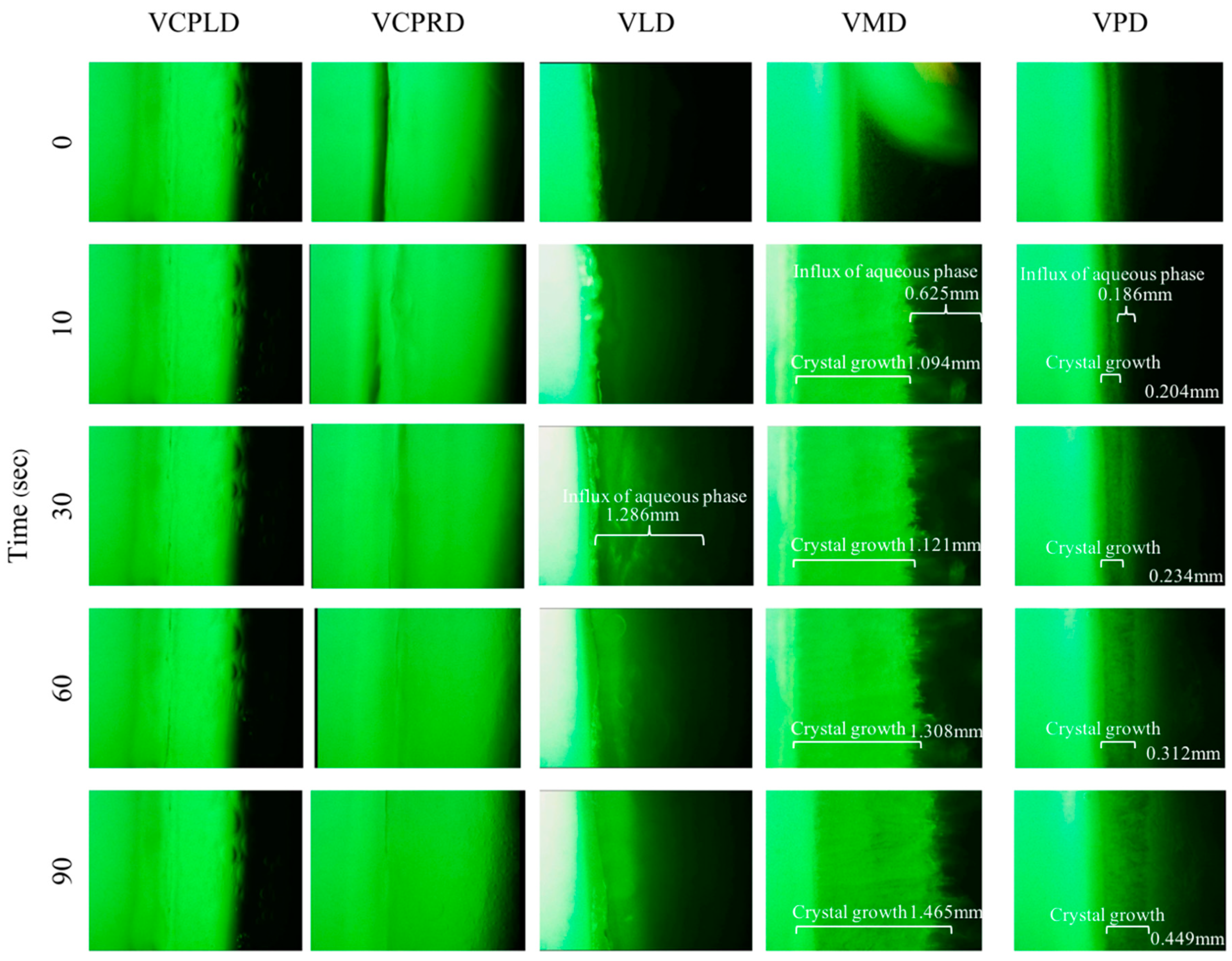 Pharmaceutics 12 00808 g007 Pharmaceutics 12 00808 g007
