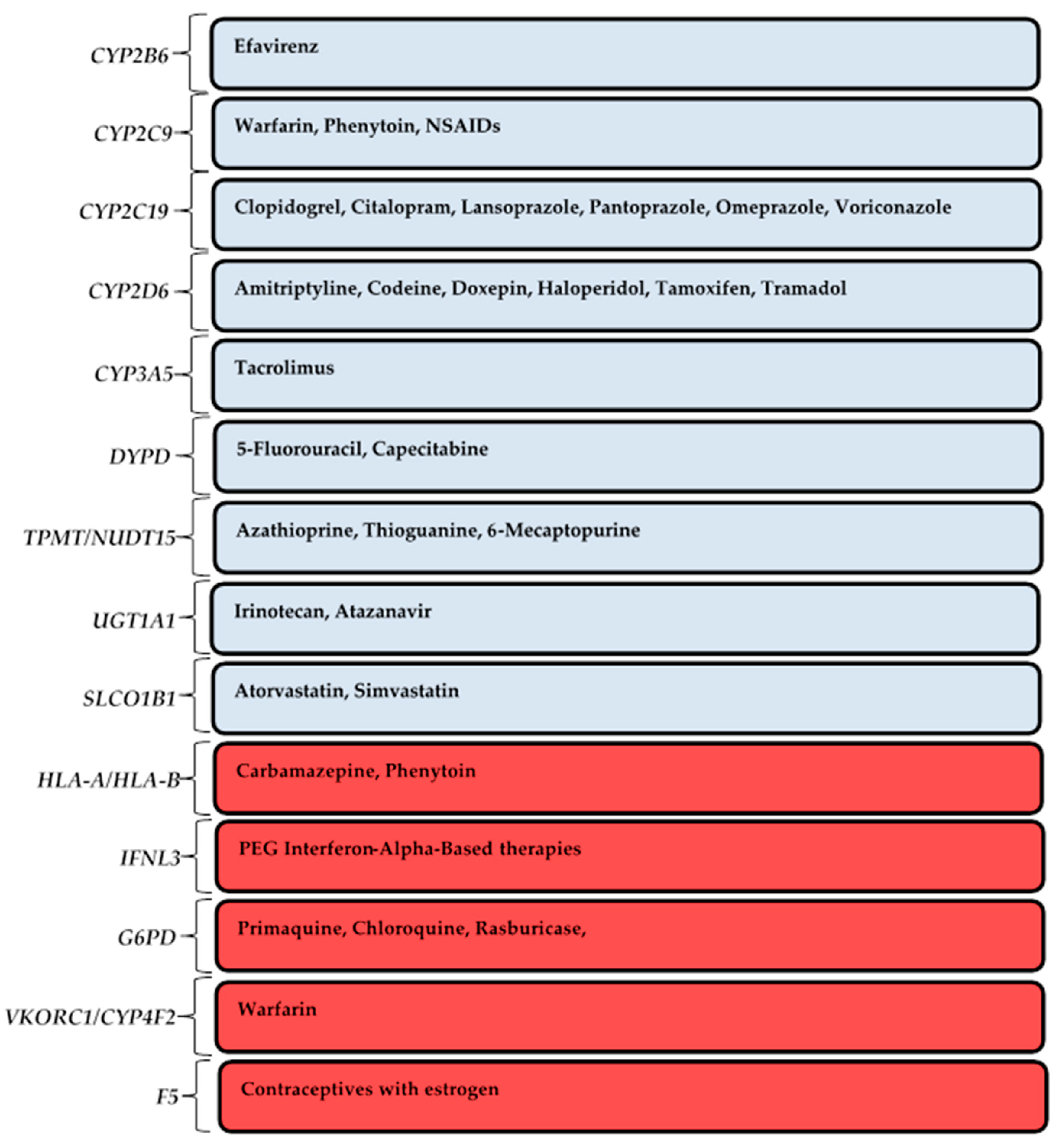 Pharmaceutics 12 00809 g002