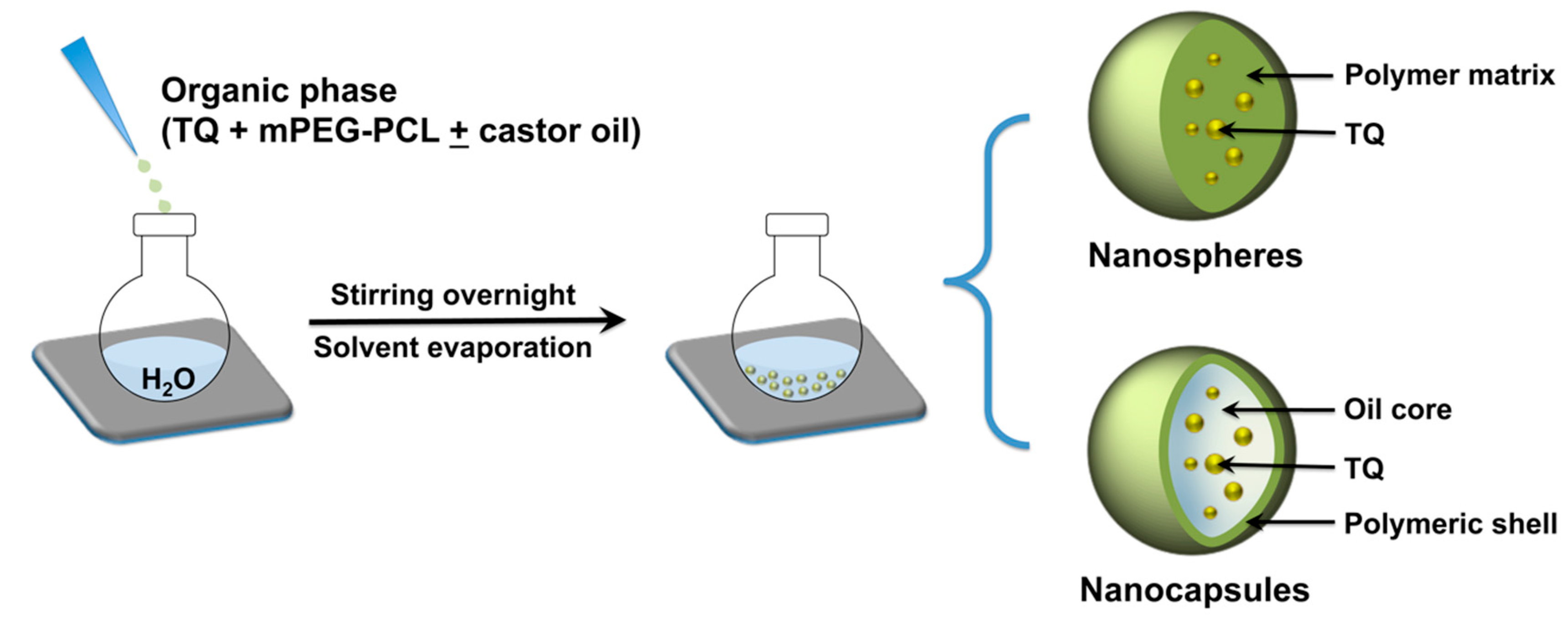 Pharmaceutics 12 00811 g001