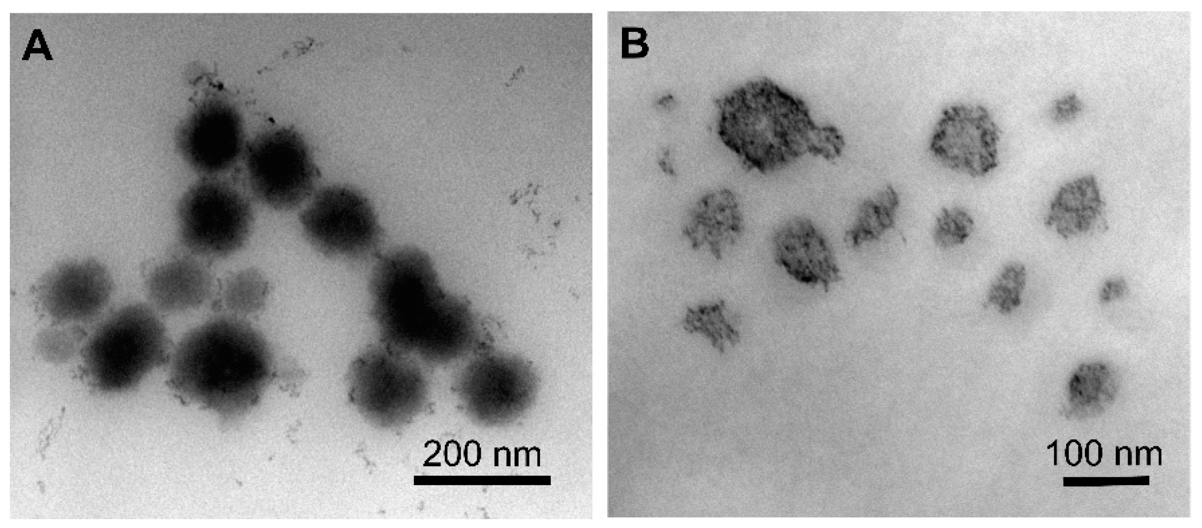 Pharmaceutics 12 00811 g003
