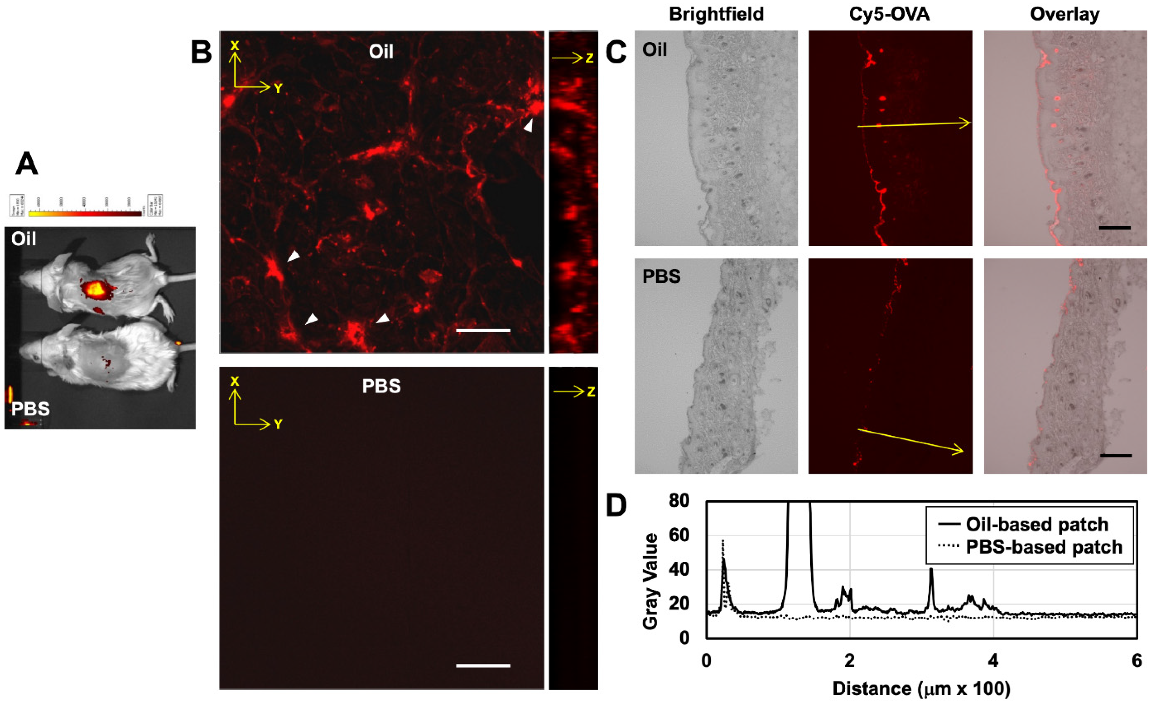 Pharmaceutics 12 00814 g005 Pharmaceutics 12 00814 g005