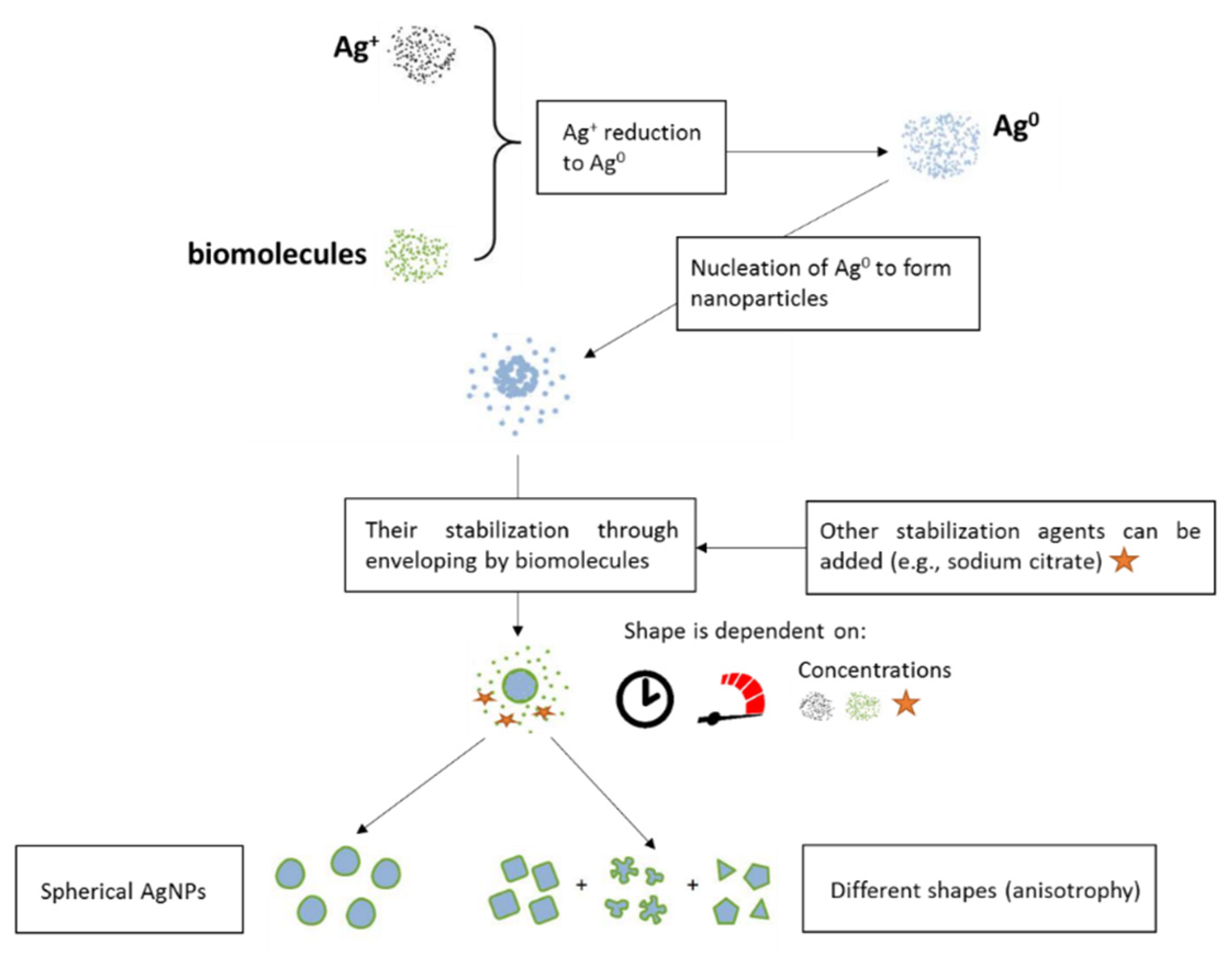 Pharmaceutics 12 00821 g008