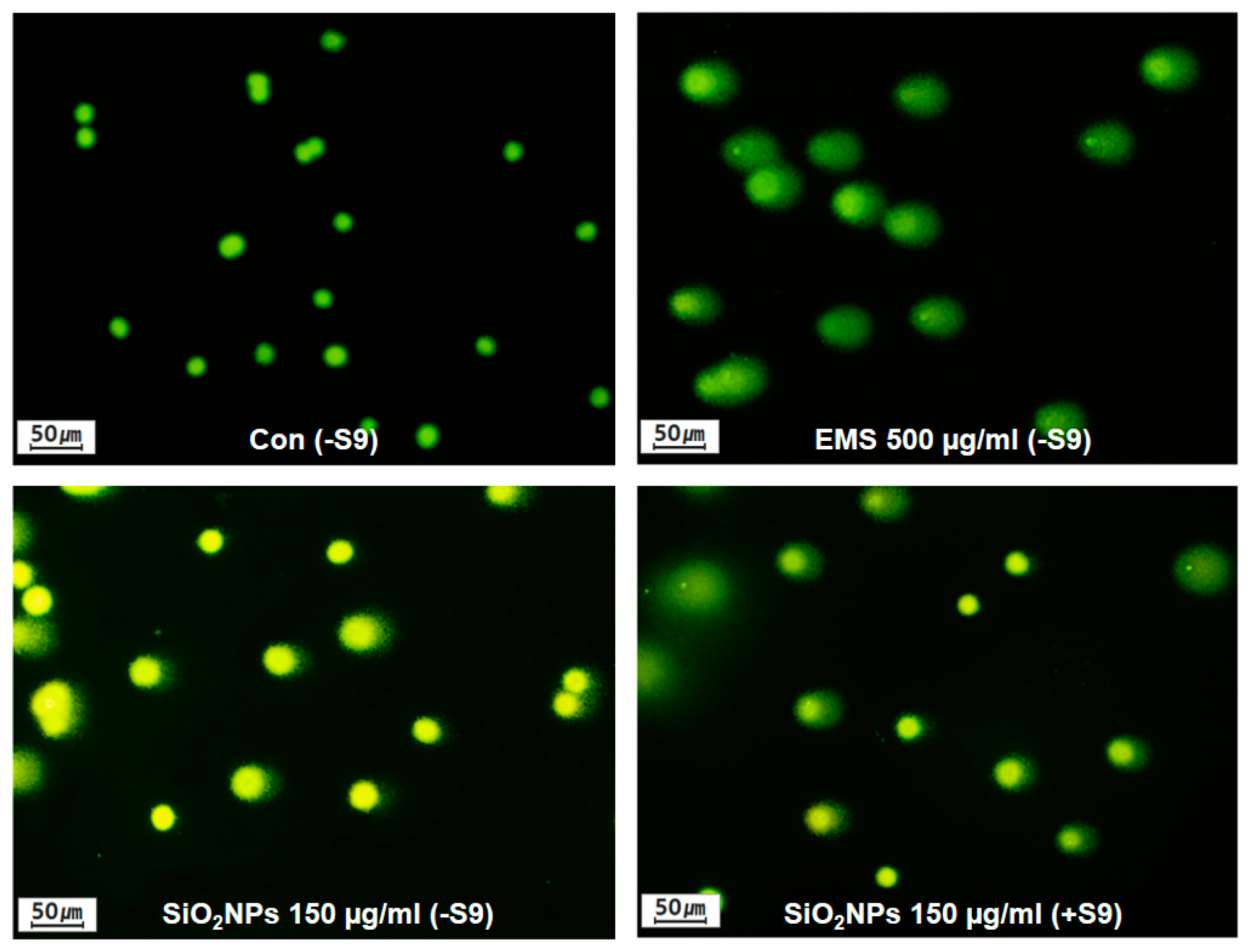 Pharmaceutics 12 00826 g003